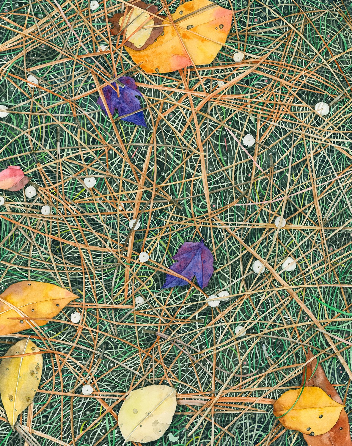 Kristin Maija Peterson, "How You Know Where You Are: Meadow Pine Plaid with Button Mushrooms," watercolor, 2024