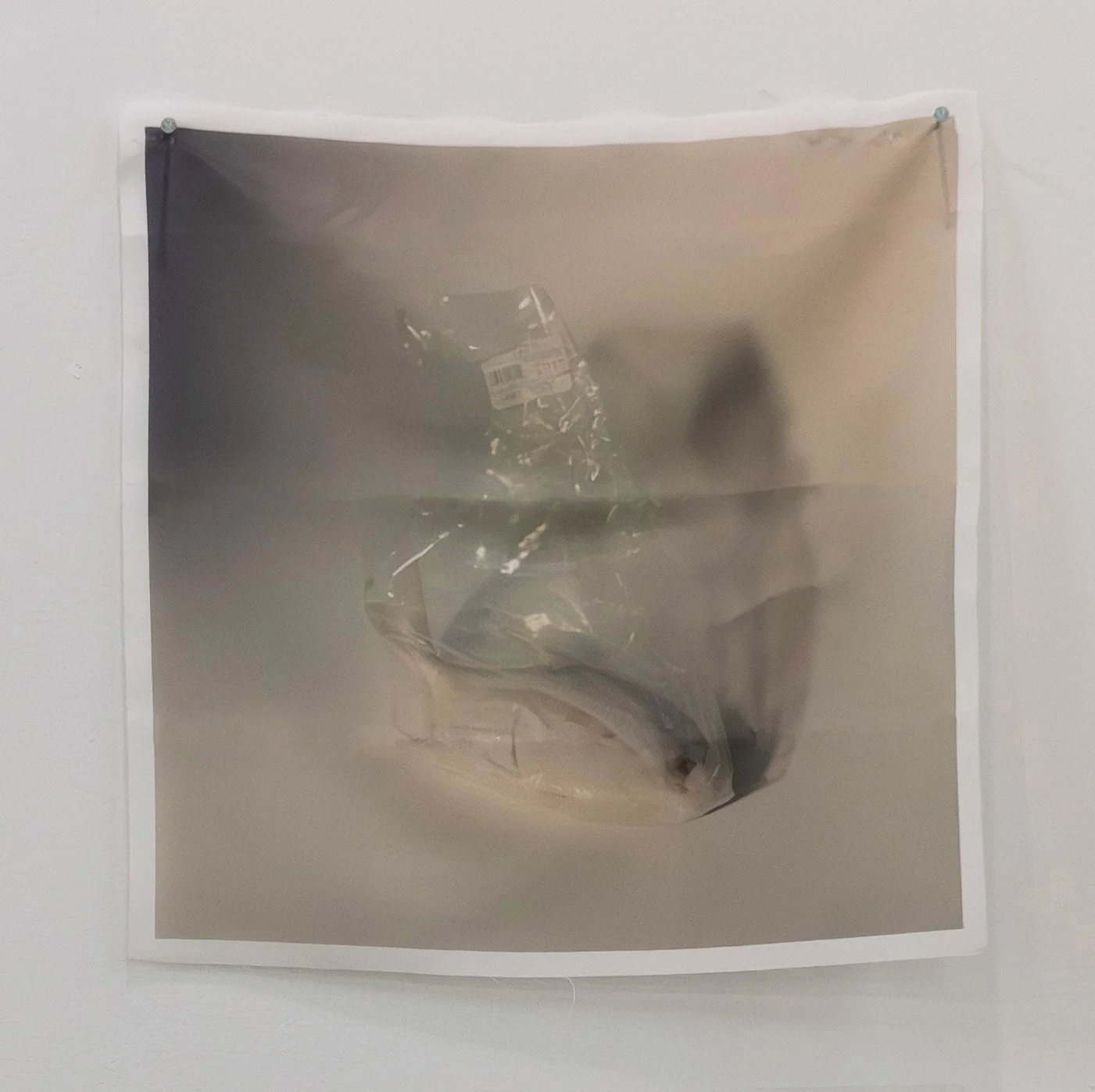 Kylie Zito, "Evidence," Archival Inkjet Print on Silk, 2026