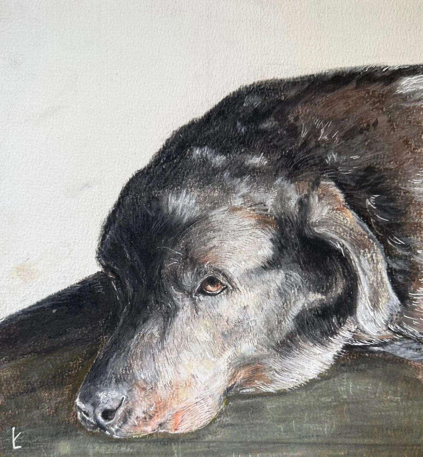 Lilly Kuiper, "Charlie," colored pencil, ink, and gel pen on watercolor paper, ~12 in. x ~12 in., 2026.