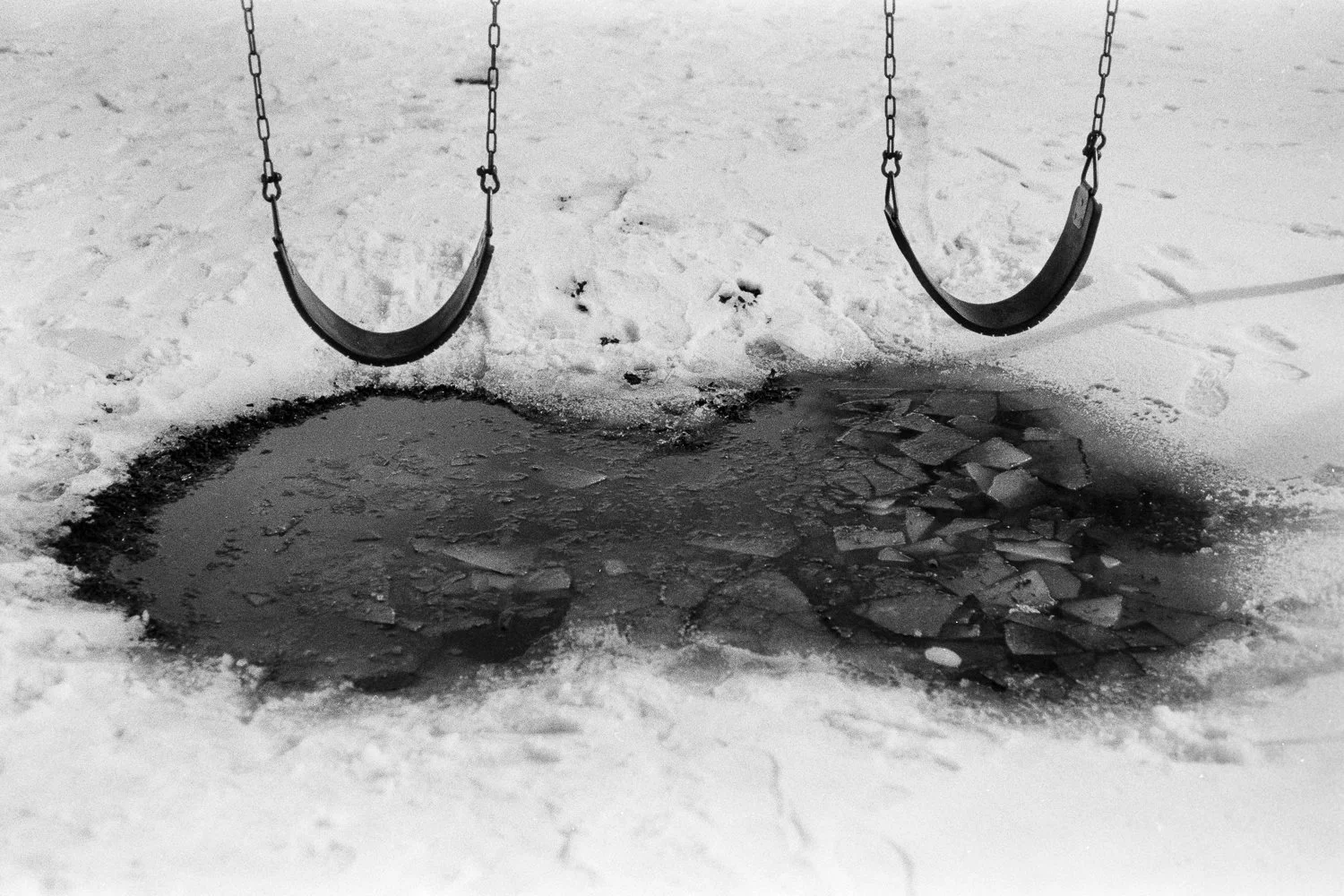 Jacob Olsen, "Dead Branches 1", Gelatin Silver Print, 2025