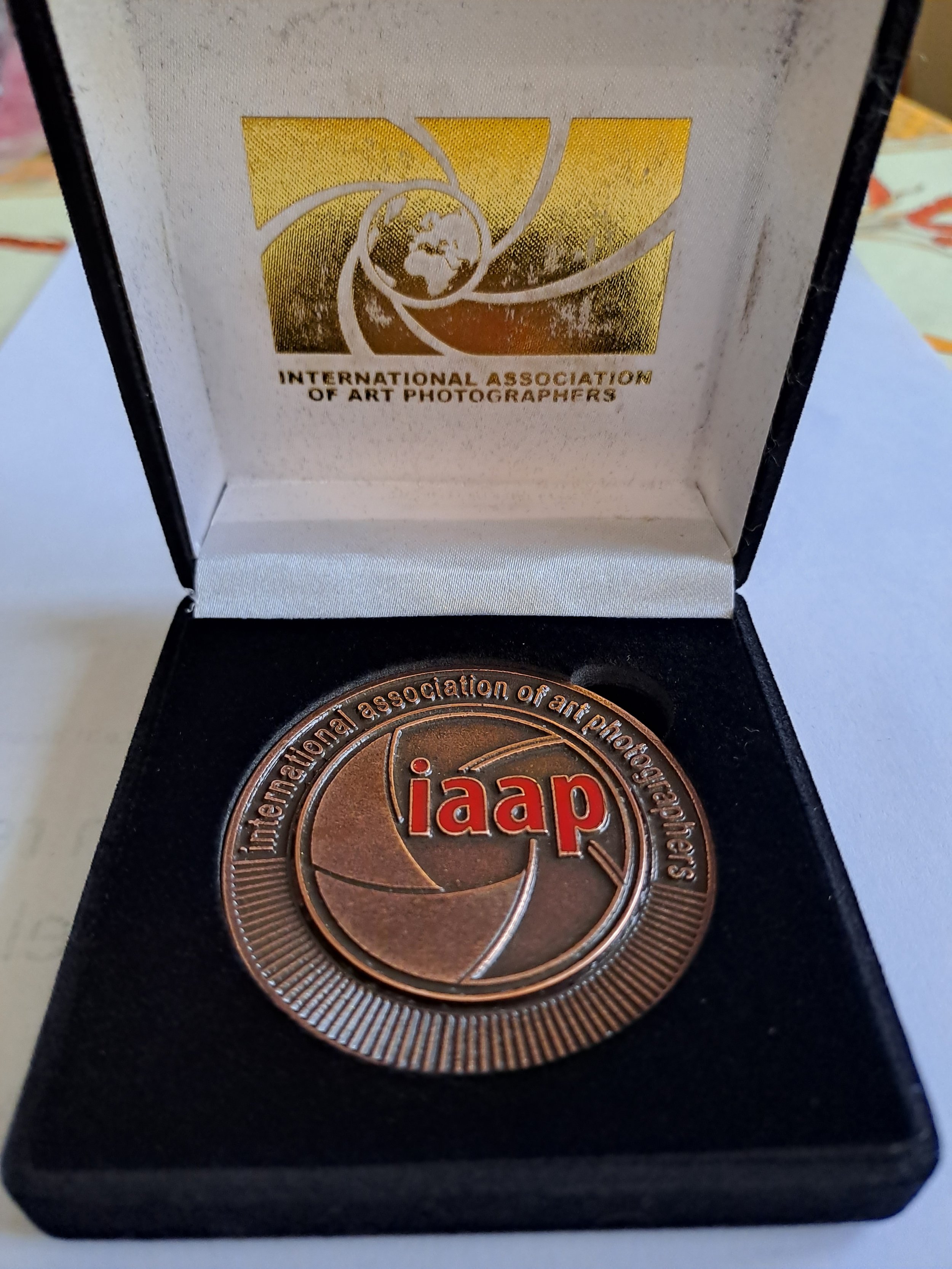 Médaille_Bronze_IAAP.jpg