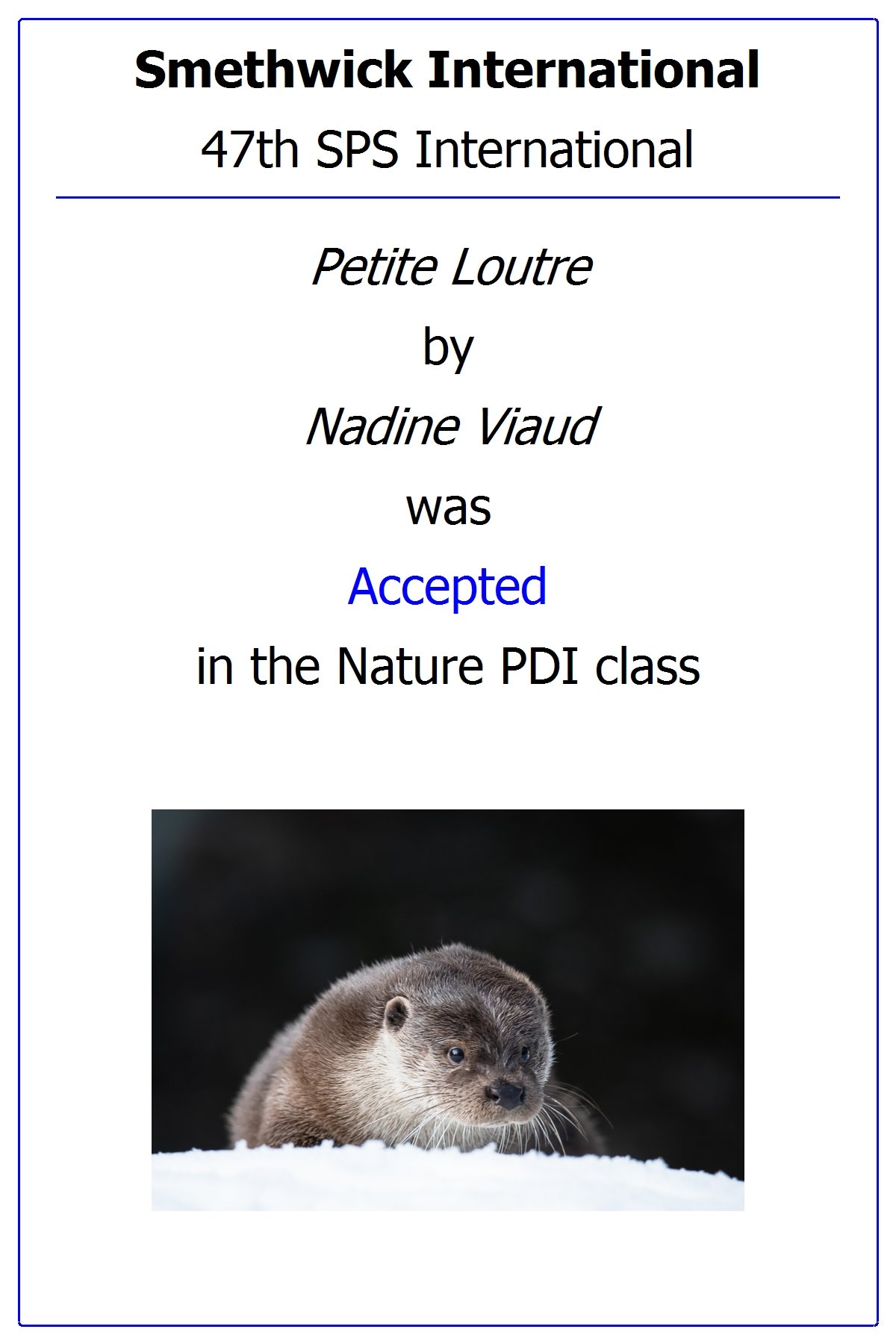 Nadine Viaud (France) - Petite loutre - Smethwick 2021.jpg