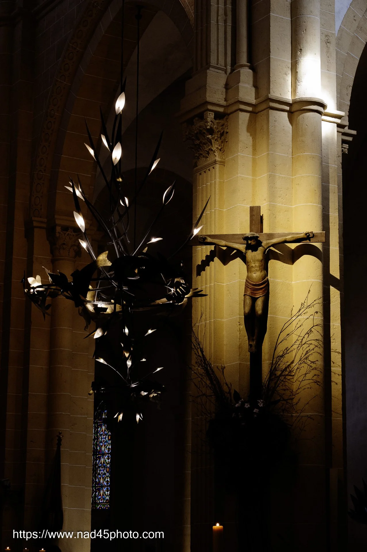 Z16_3072.jpg