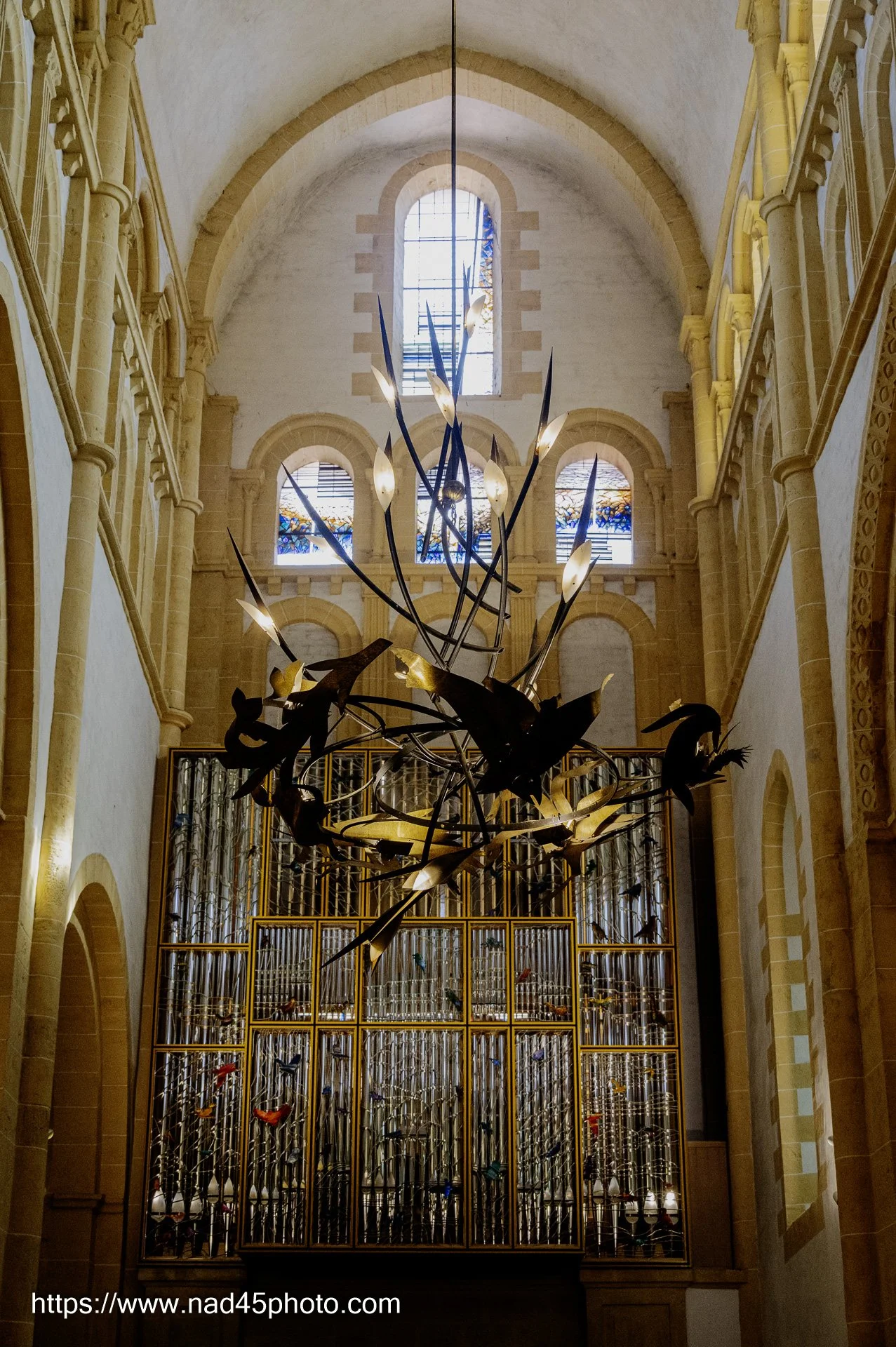 Z16_3075.jpg