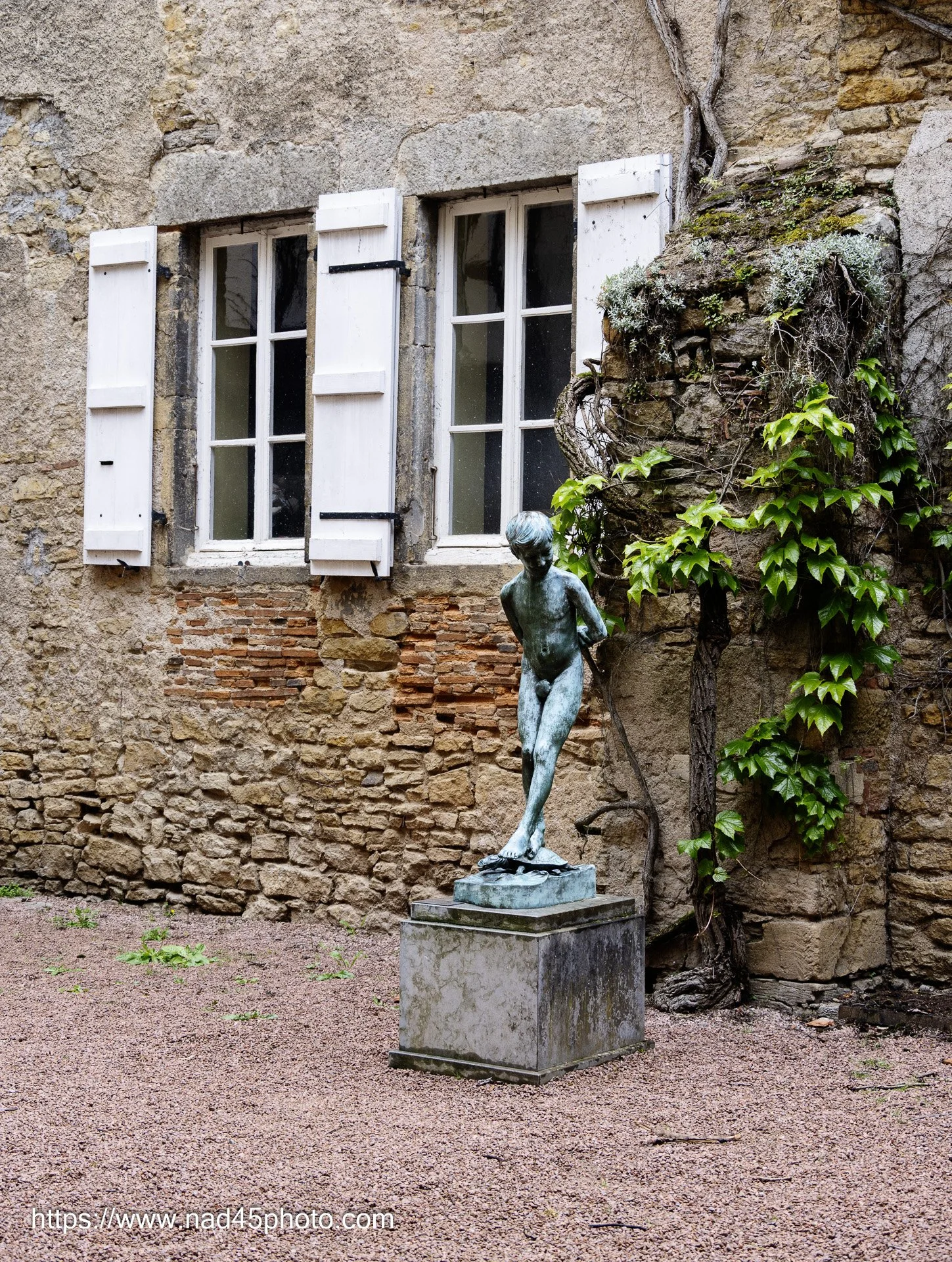Z16_3217.jpg