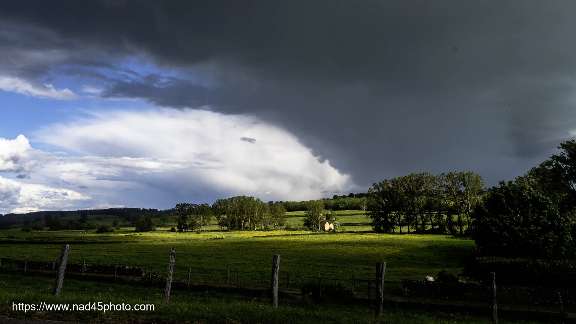 Z16_3232.jpg