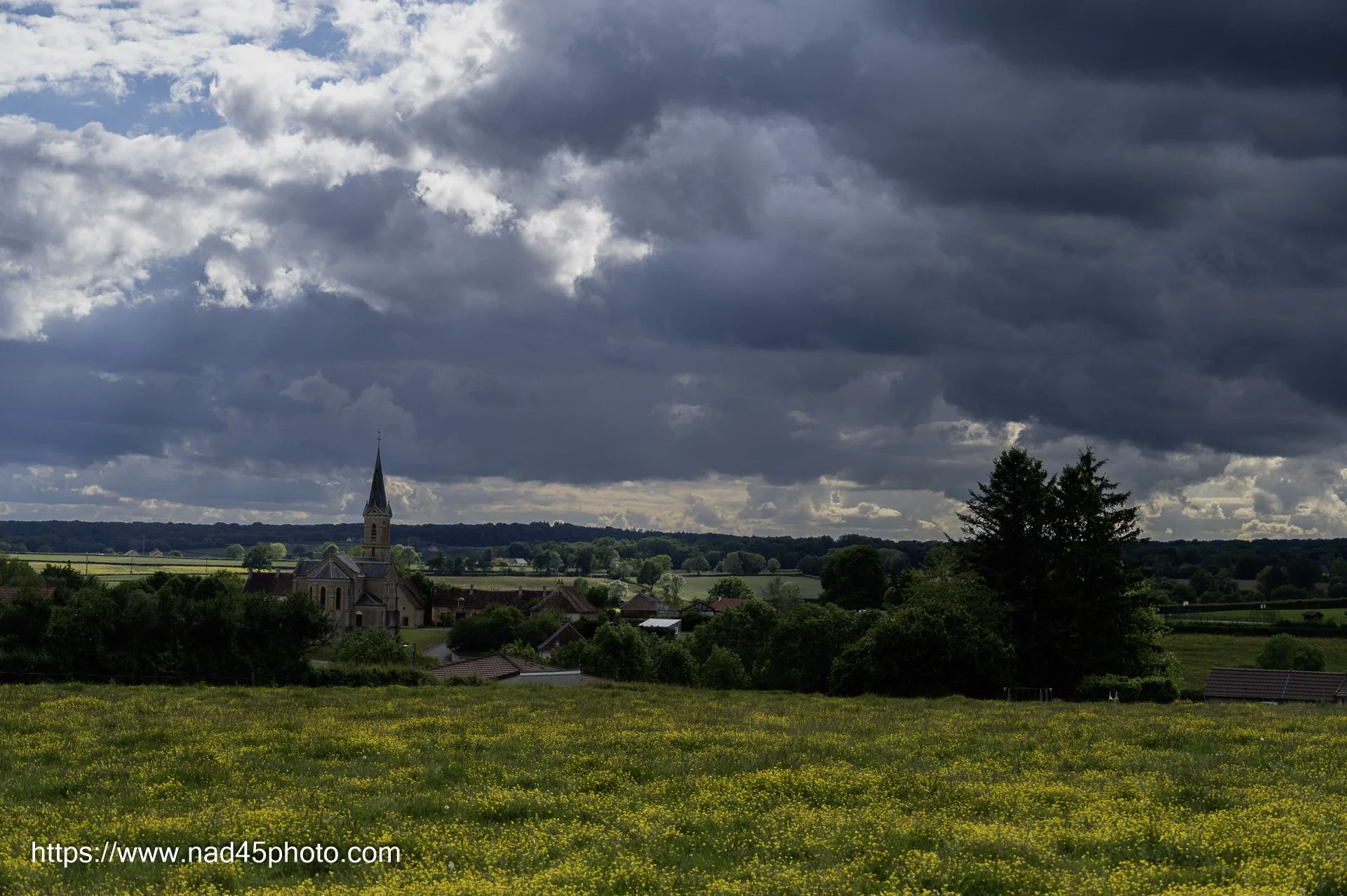 Z16_3266.jpg