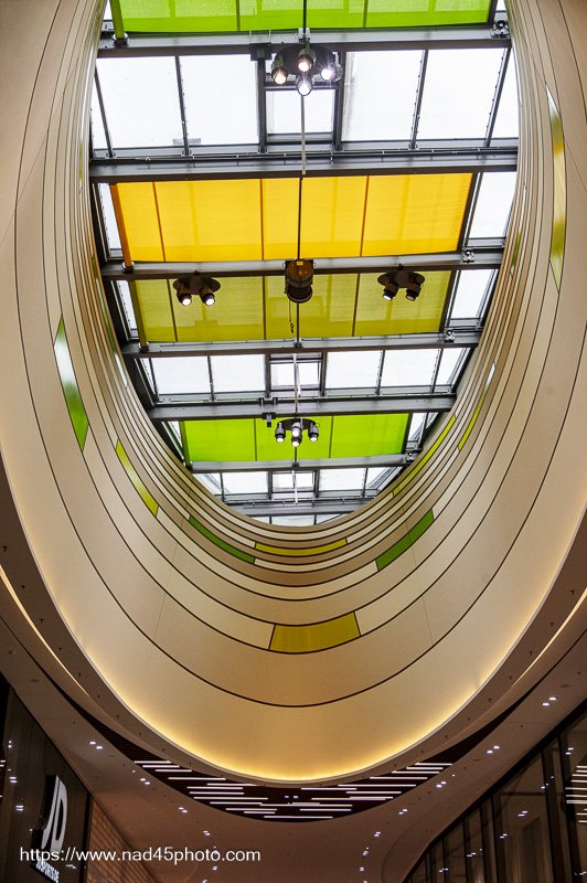 Z16_5406.jpg