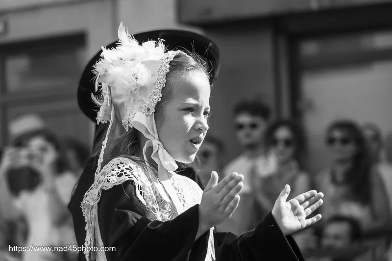 Z16_6578.jpg