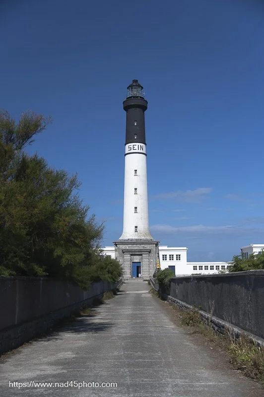 Z16_8729.jpg