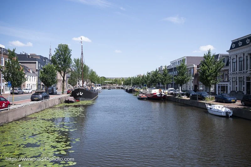 Z16_5056.jpg