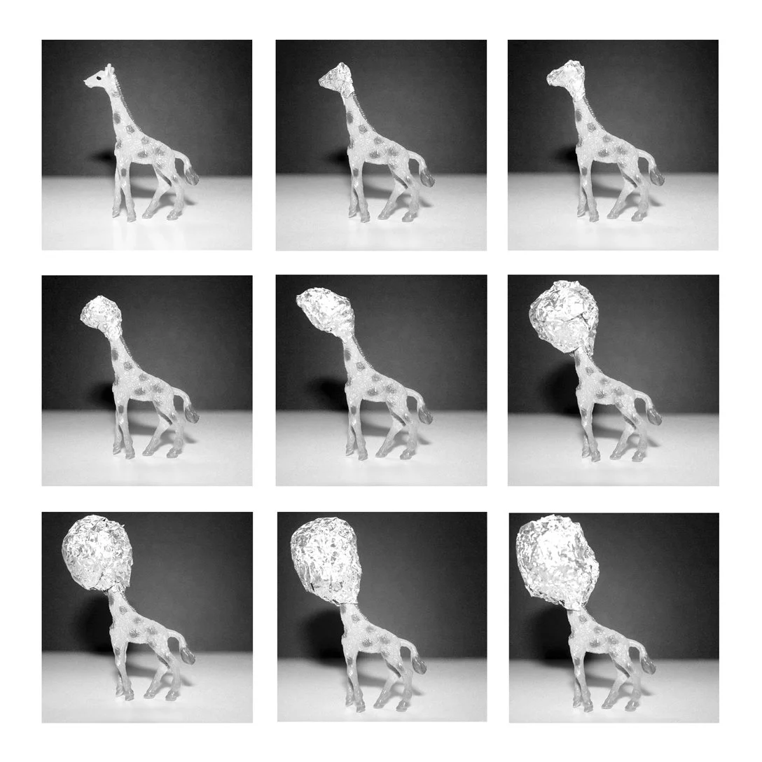 giraffe foil head.jpg