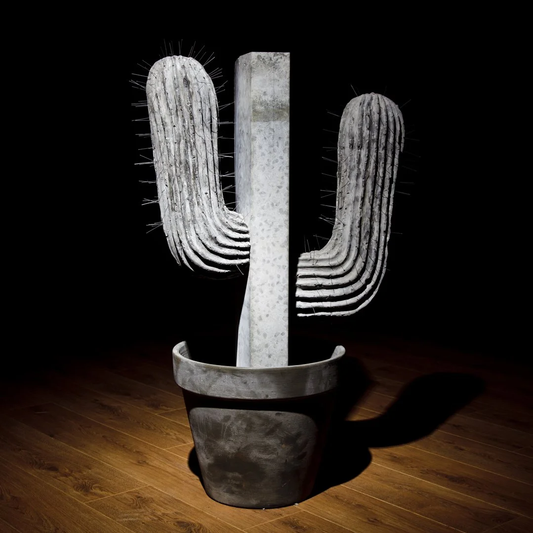 cactus kerb.jpg