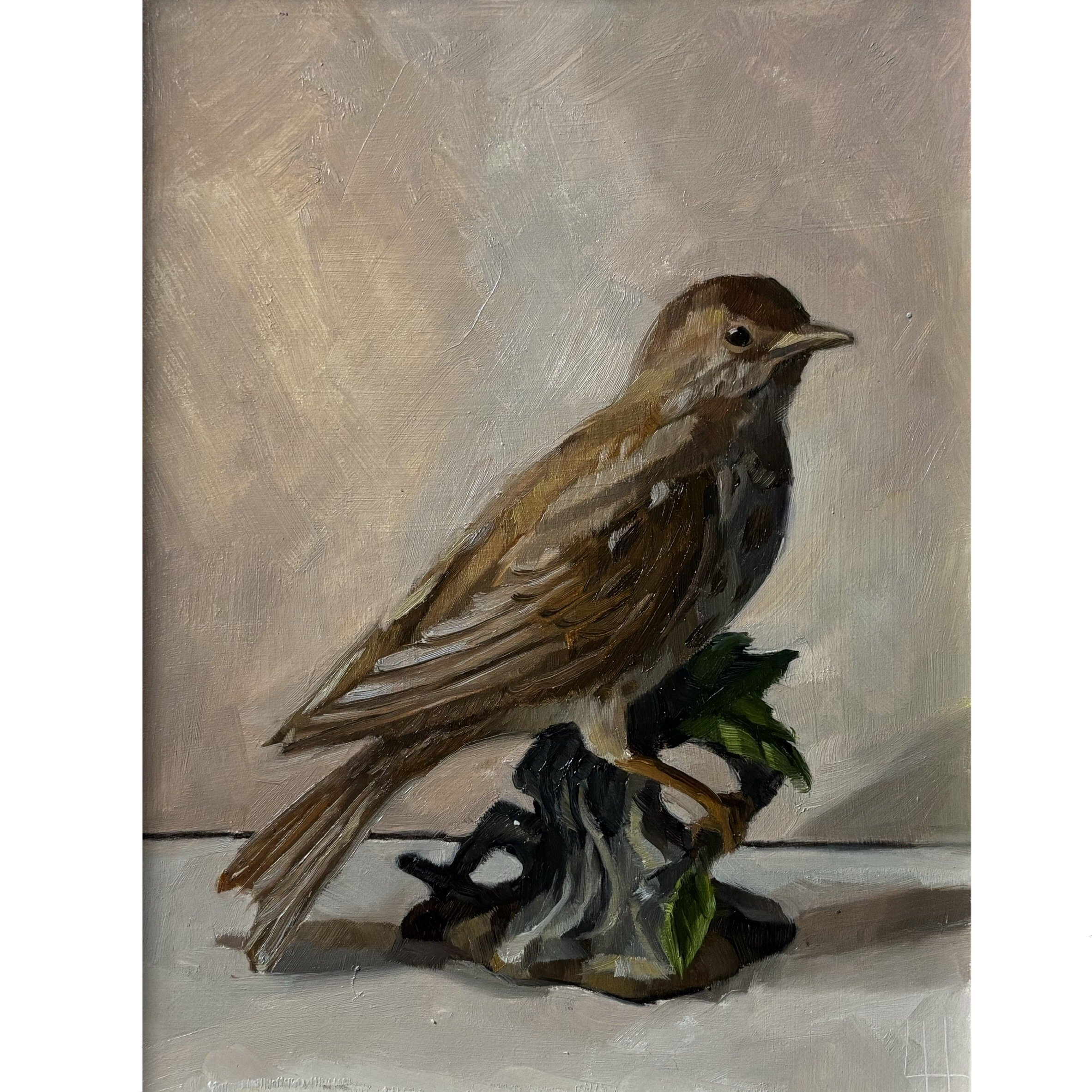 Songthrush