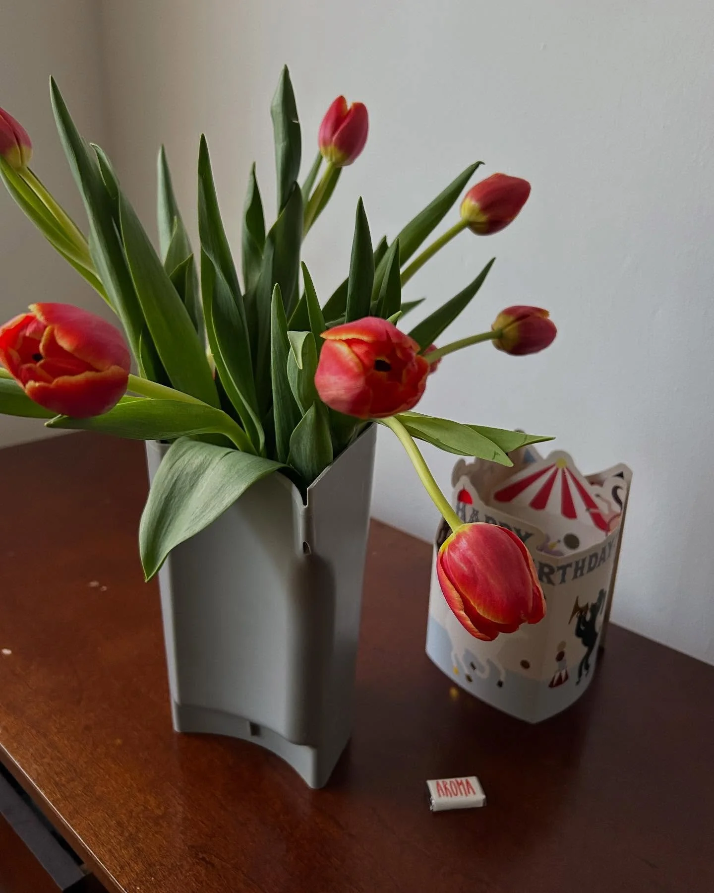 Happy Women&rsquo;s Month!🌷🕊️