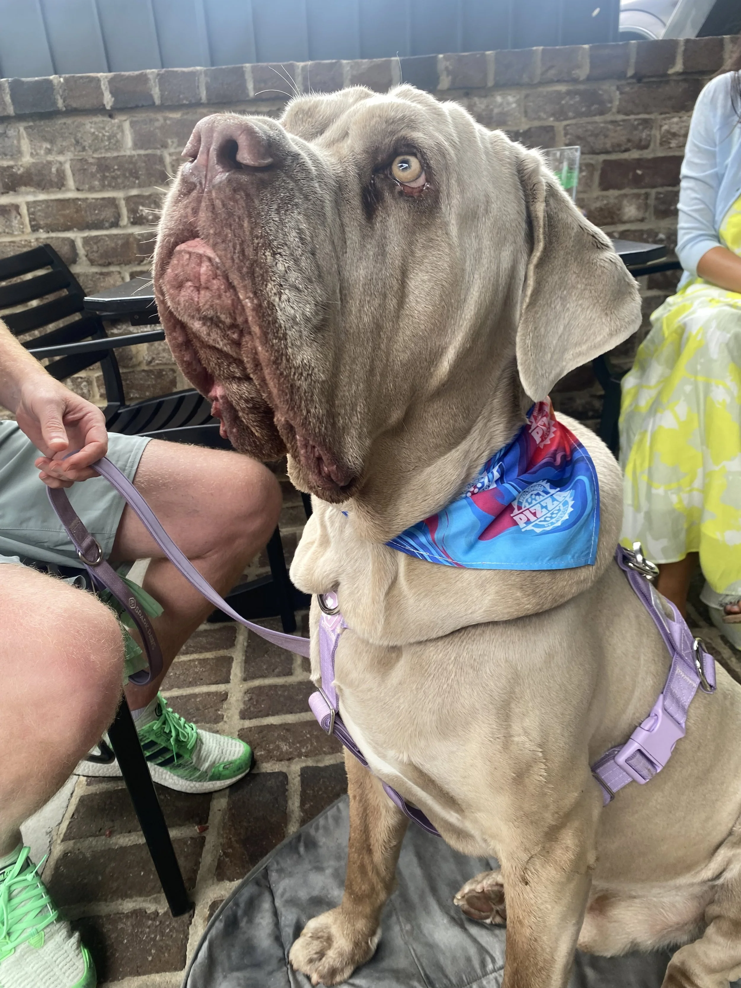 Pizza by Fusco's Food Truck!