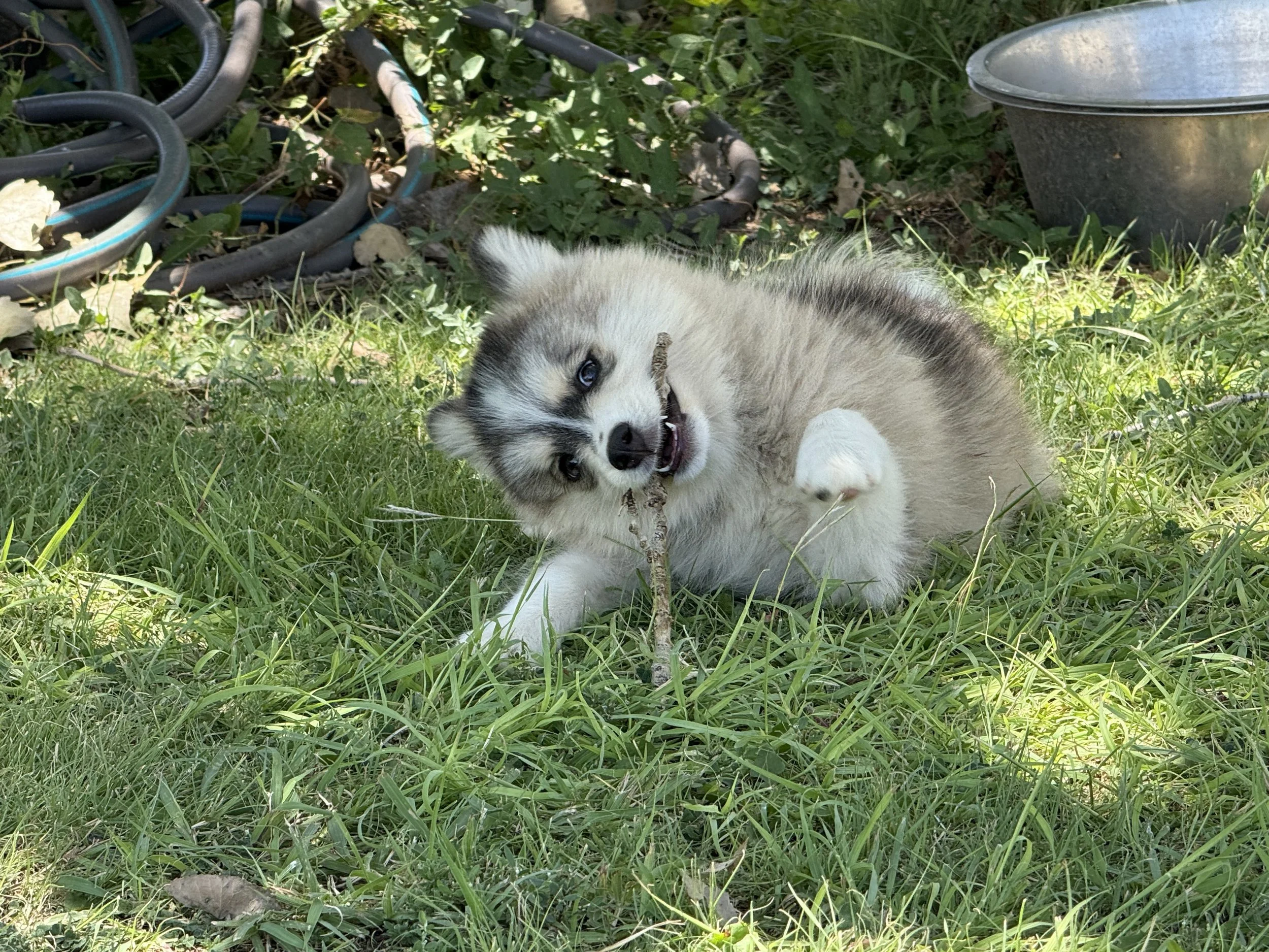 IMG_7745.jpeg