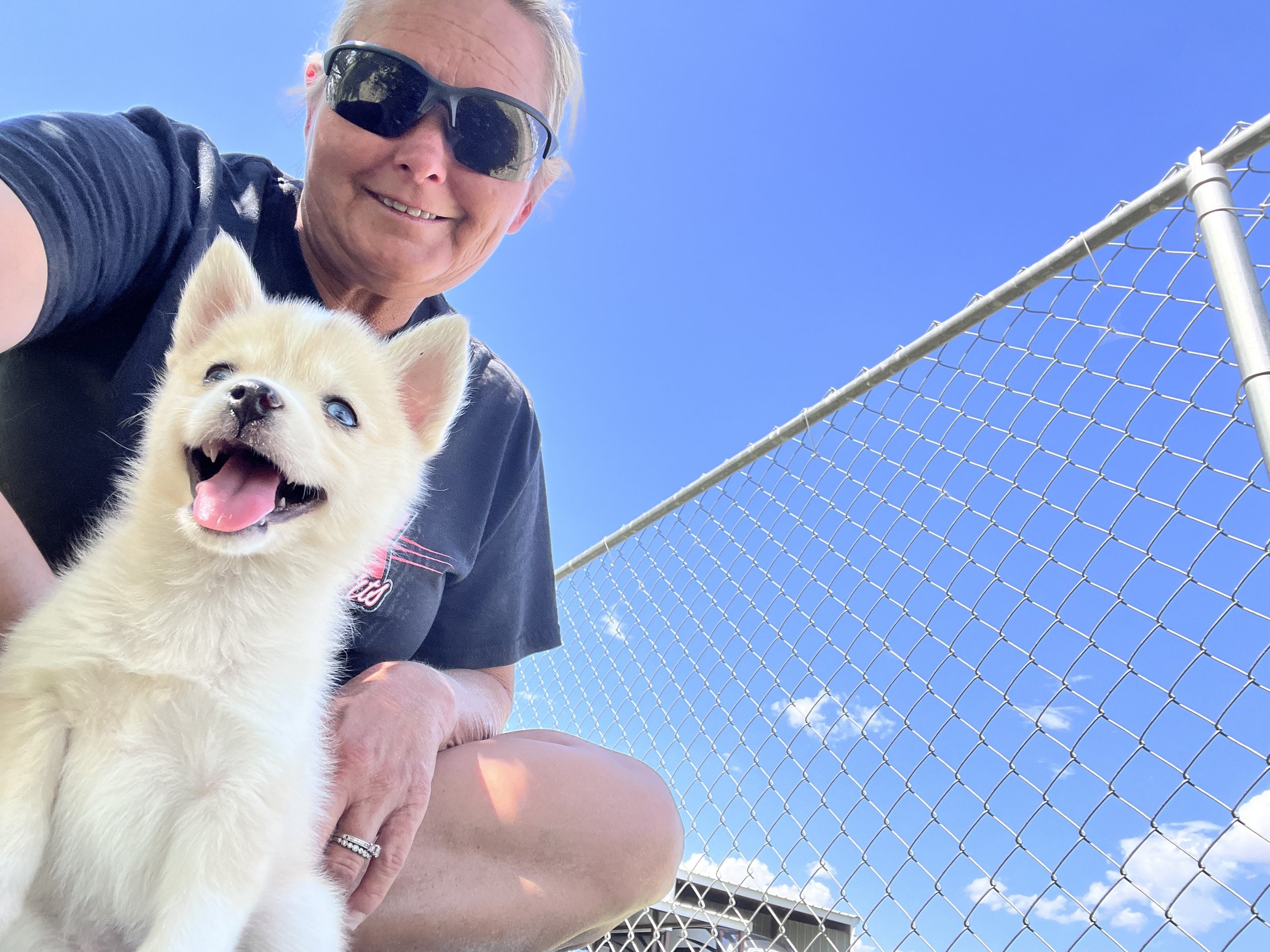 Price-$2500
About Cynthia
Pomsky • 8 weeks old
Born on May 29, Cynthia is one of 4 puppies from parent dogs Bandit & Krissy of Pom Pom Pomskies.
Color
Merle (non-standard)
Size
Mini