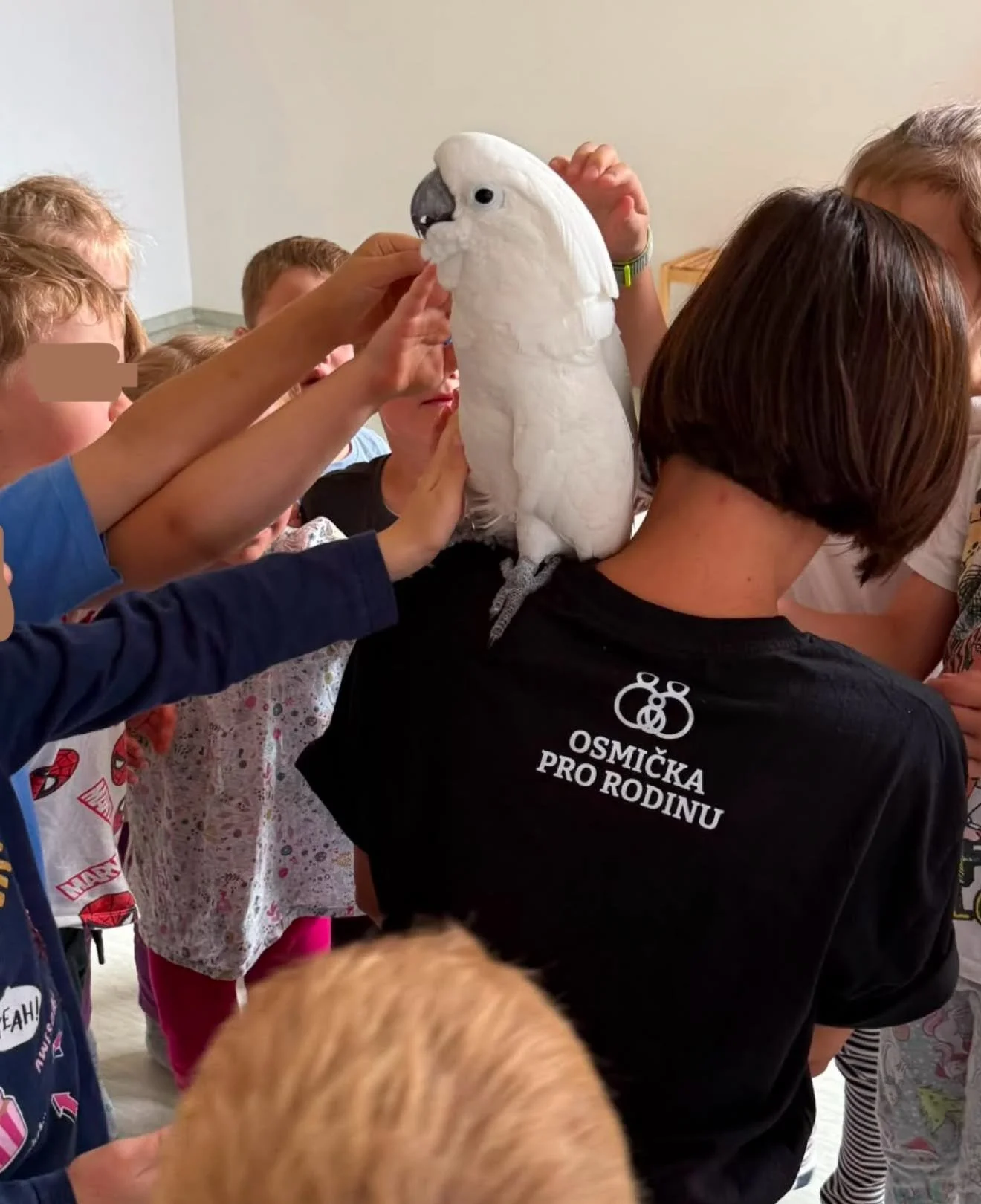 Tři týdny, tři různá témata a bezmála 150 úžasných dětí na letních příměstských táborech
