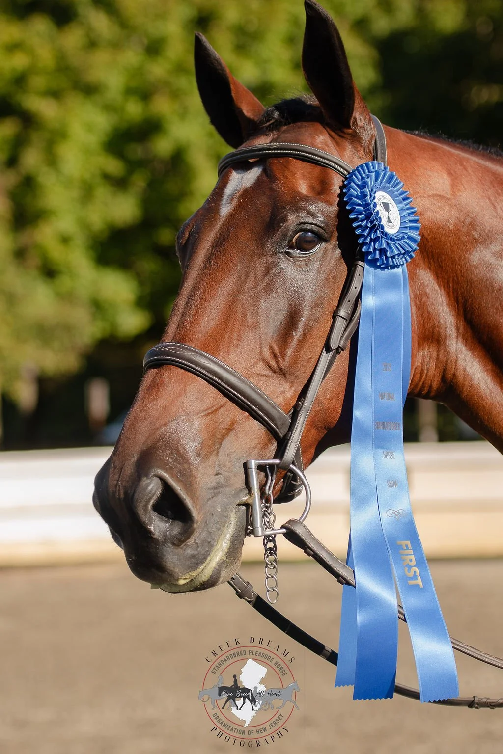 SPHO-NJ Announces 2026 National Standardbred Horse Show Updates