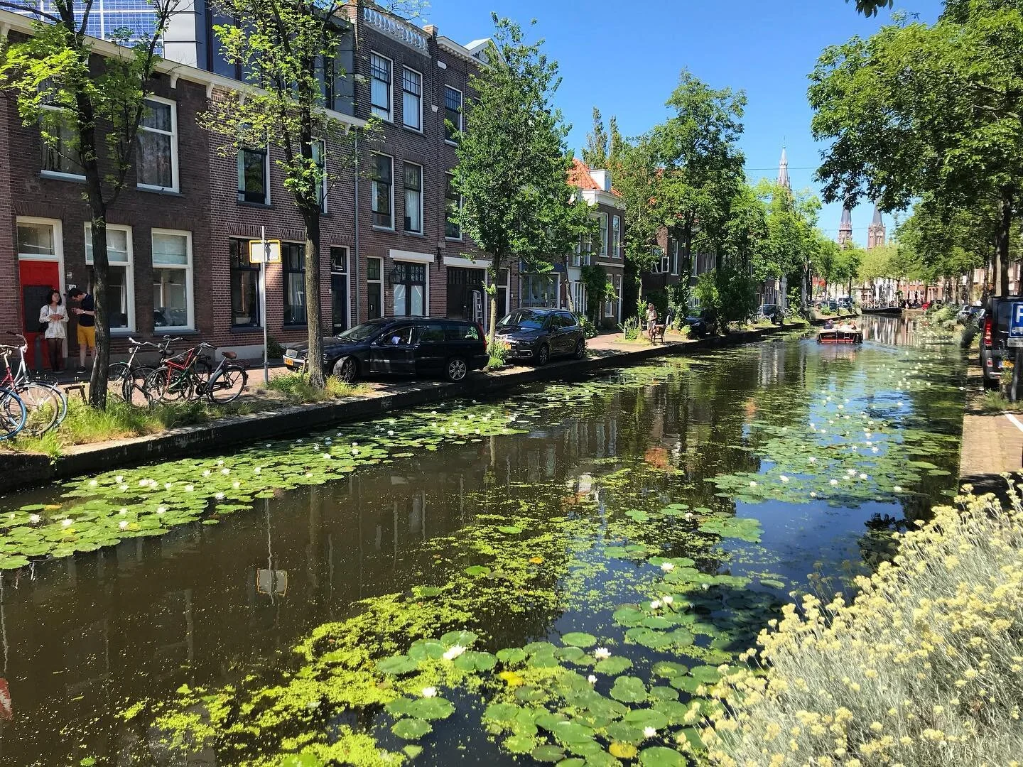 Canals and whimsical greens!