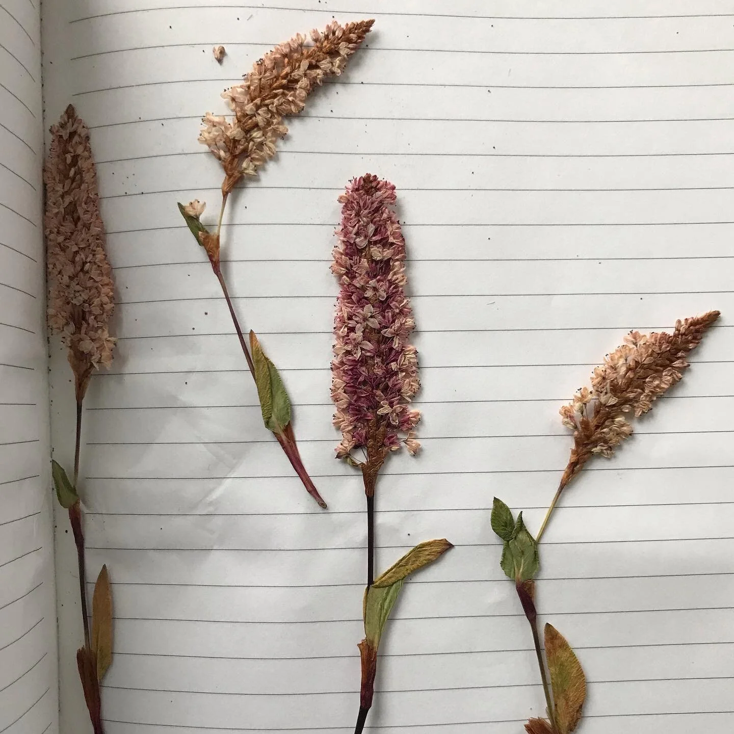 Bygones preserved. 

From a year ago. Spring arrival in Delft. 2021.