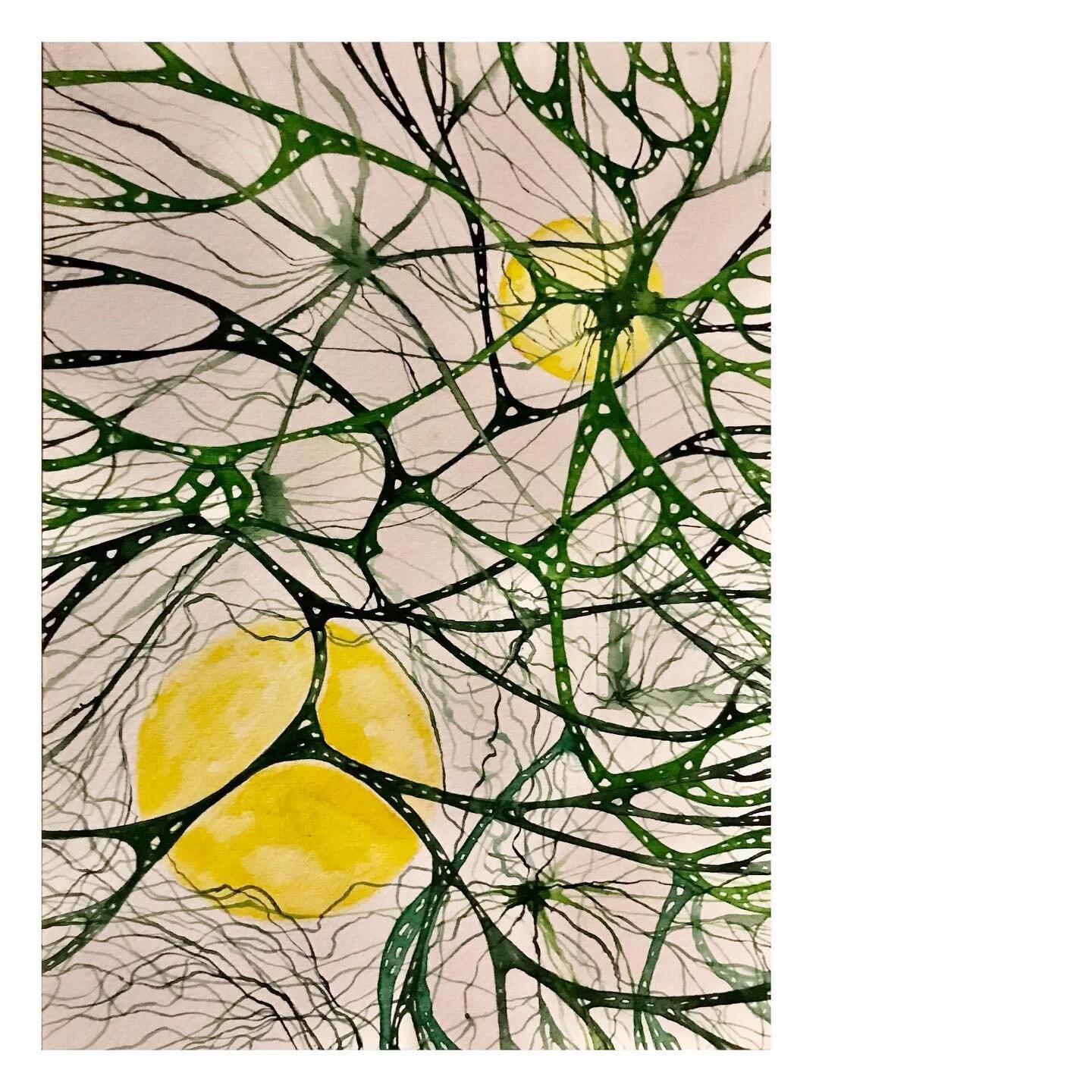 Networks. 
Watercolour on paper