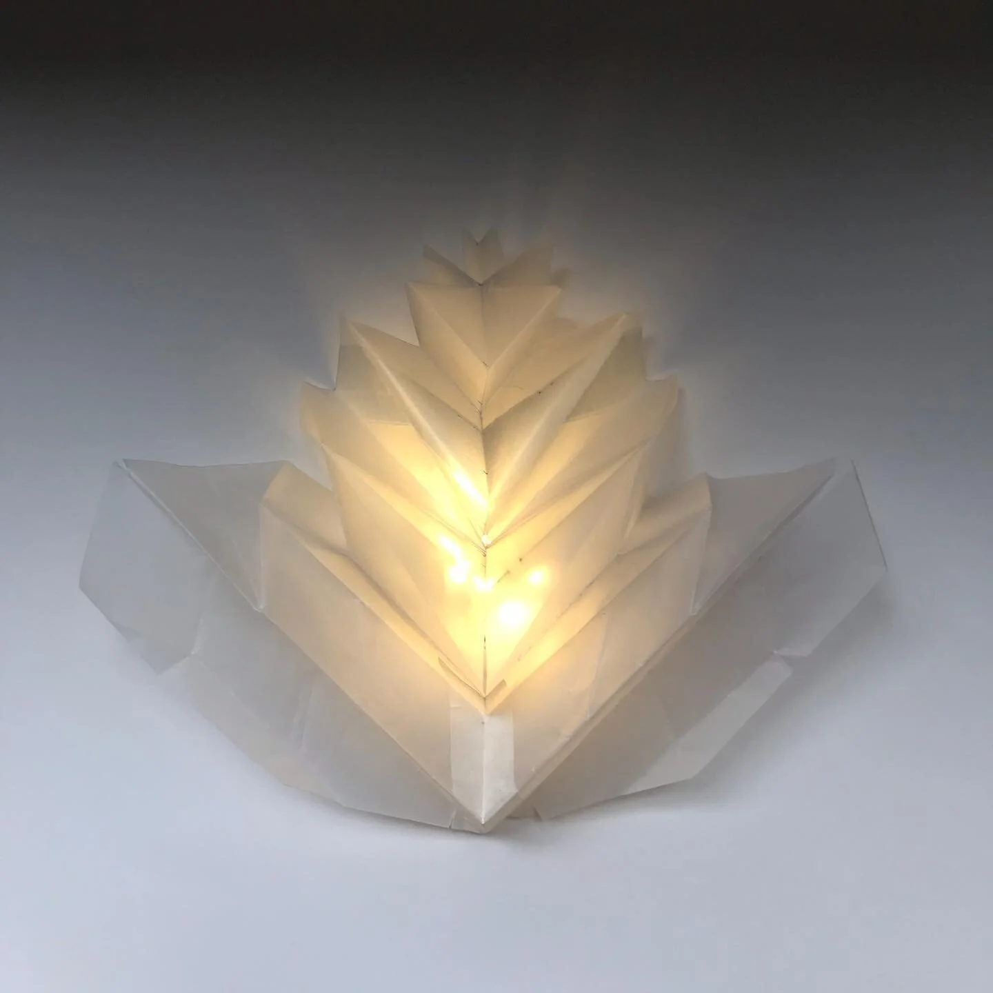 Continuing origami explorations. 
1/.........