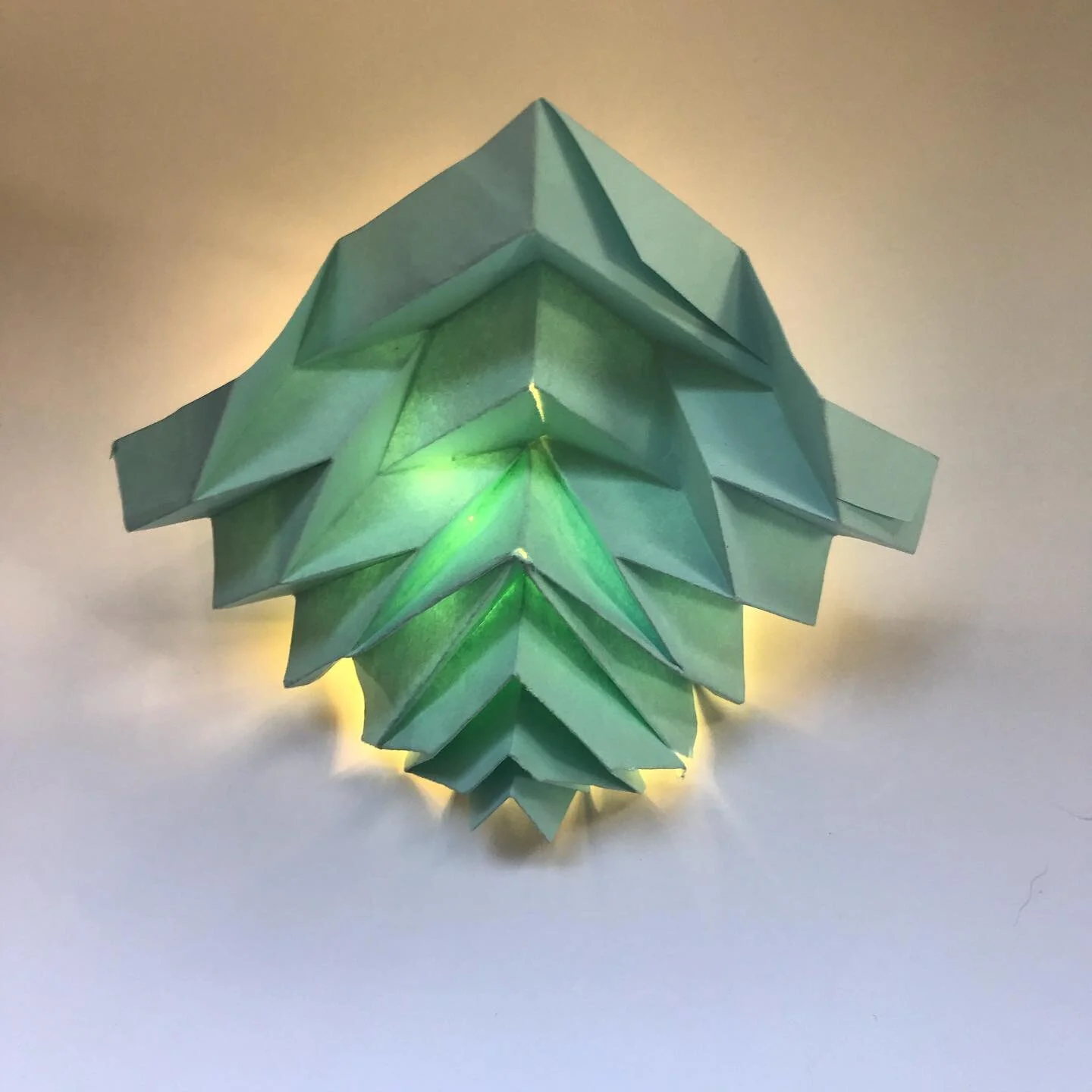 Origami experiments. 

1/.....