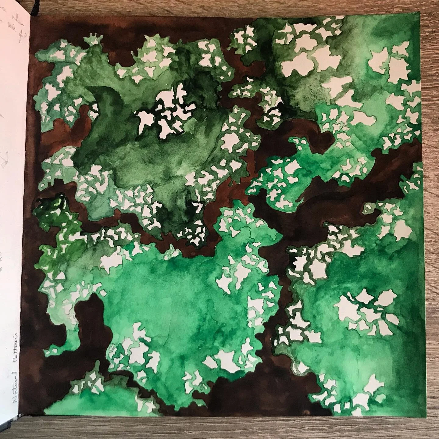 Lost in foliage and canopies.