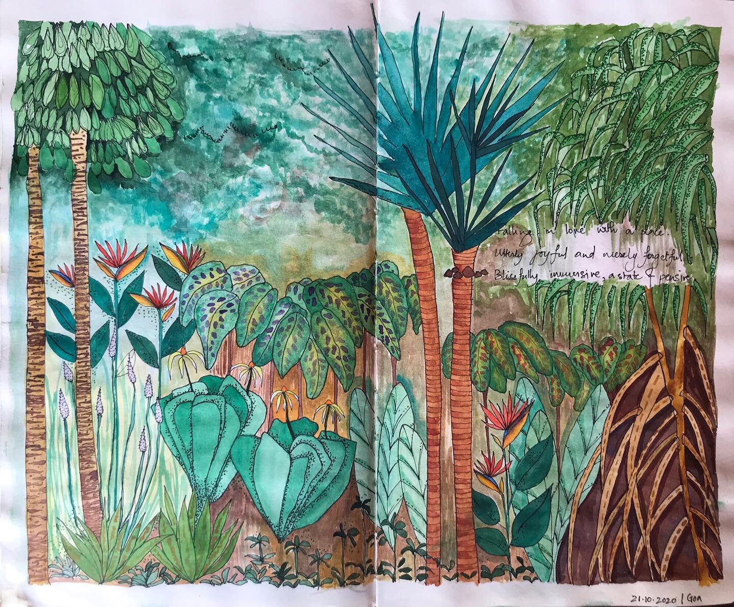 Jungle ❤️ from my sketchbook. 
.
.
Watercolour and Ink.