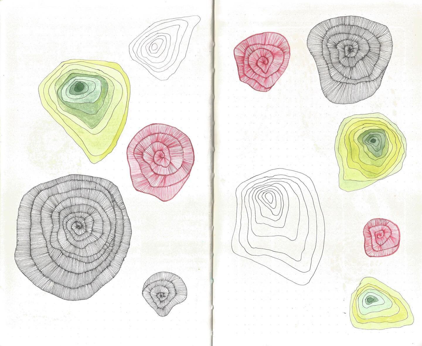 Coral mood and limes. 
.
.
Watercolour and Ink