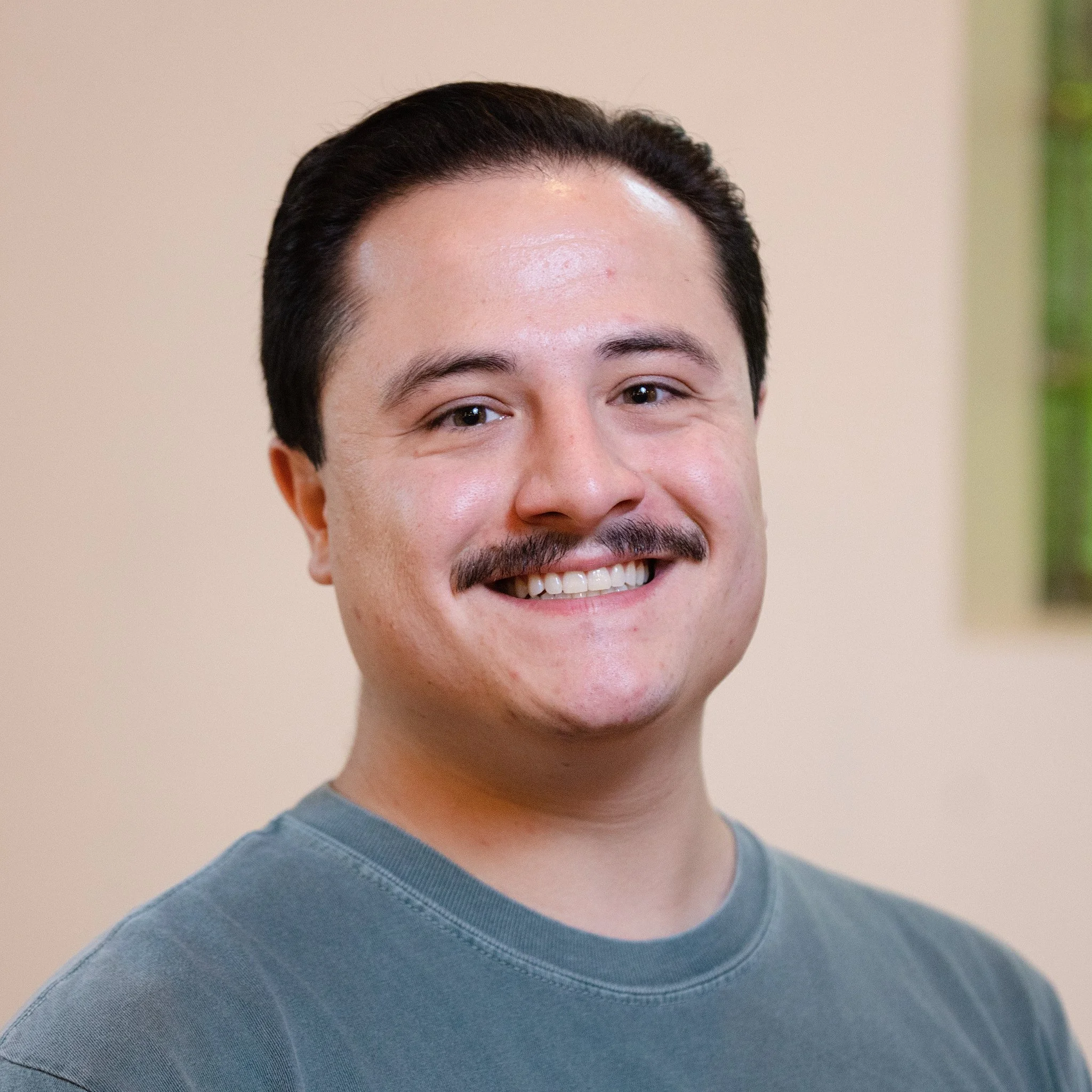 A young man with dark hair, a mustache, and a light complexion smiling at the camera, wearing a gray t-shirt inside a room with beige walls and a window with green foliage in the background.