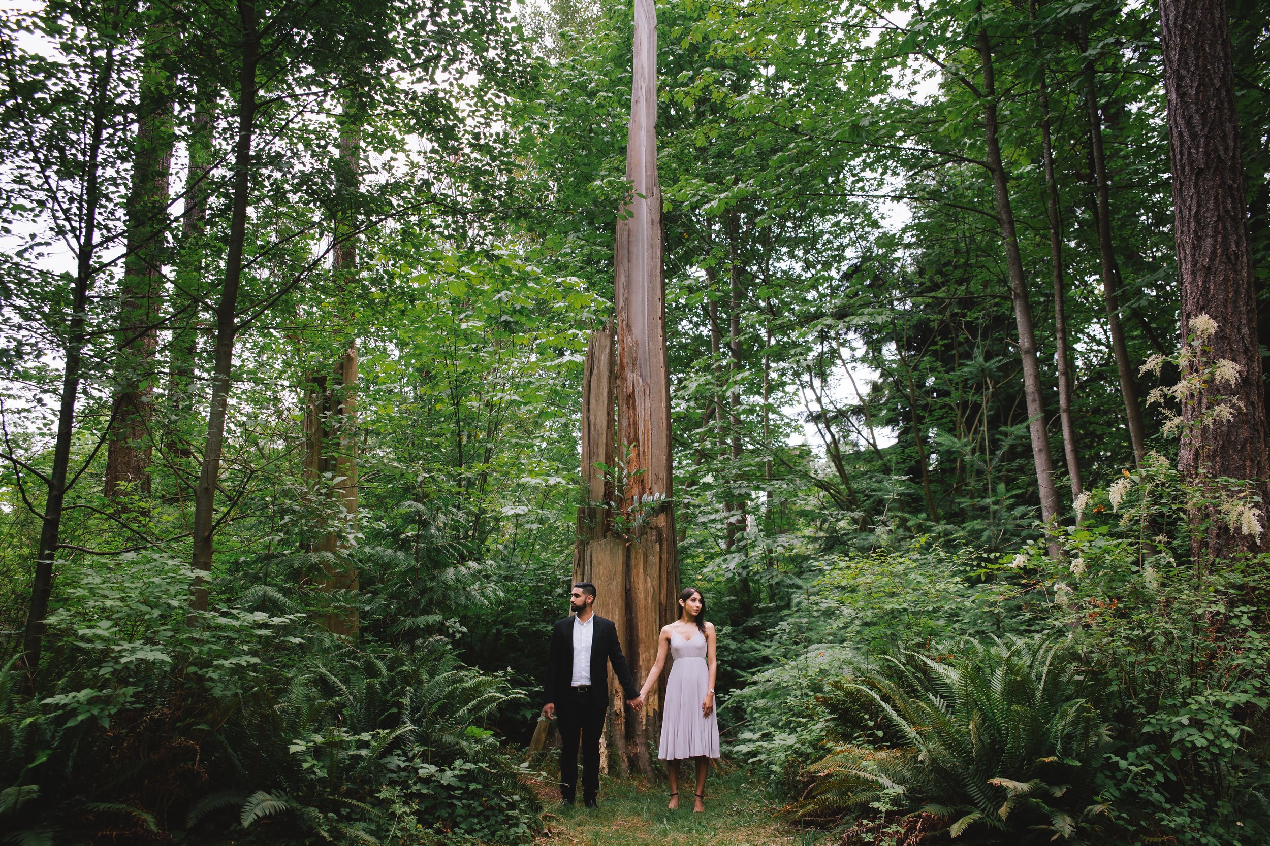 Engaged couple pose in front of a stump surrounded by foliage at Stanley Park.