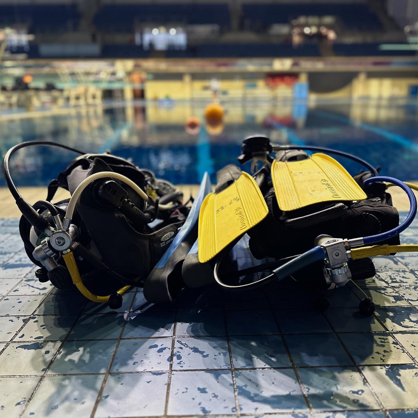 Dry-suit orientation tonight, with @diveworlduk at Ponds Forge. I was surprised to find we were sharing the dive pool with mermaids!

#SCUBA #PADI #DrySuitSpecialty
