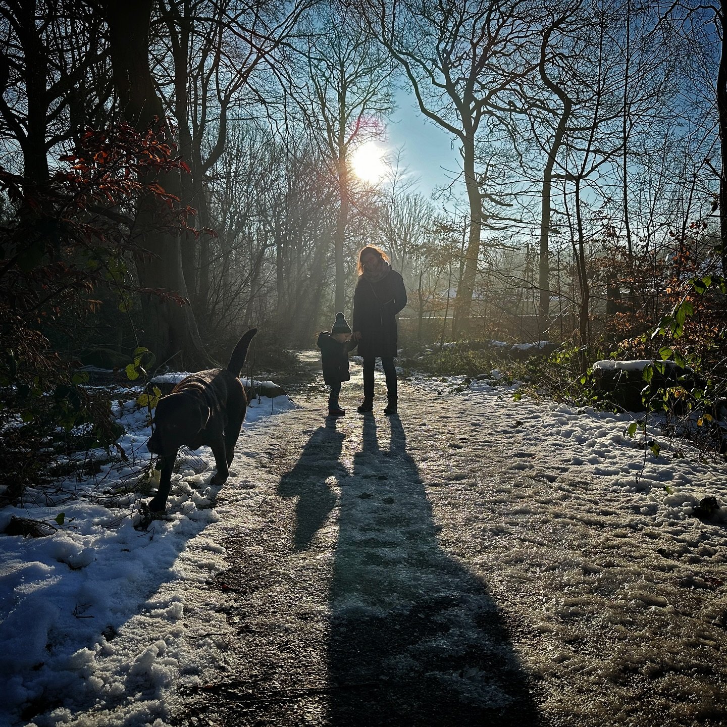 We had a great weekend hosting Teddy. Small children are hard work(!), but there&rsquo;s joy to be found in pootling at a two year old&rsquo;s pace, following the doggie through the woods and chatting about our perspectives on the world.  If you can 
