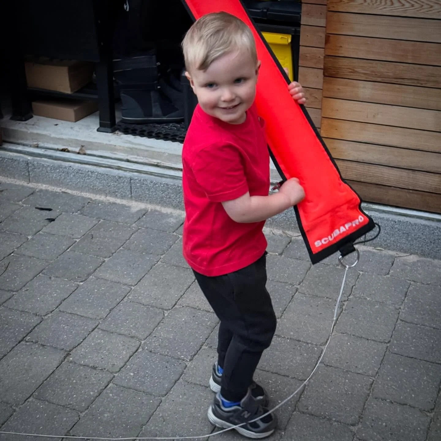 I was grateful to Theo for helping me put my diving gear away today. Is it legal to put three year olds to work? He&rsquo;s got a good work ethic!