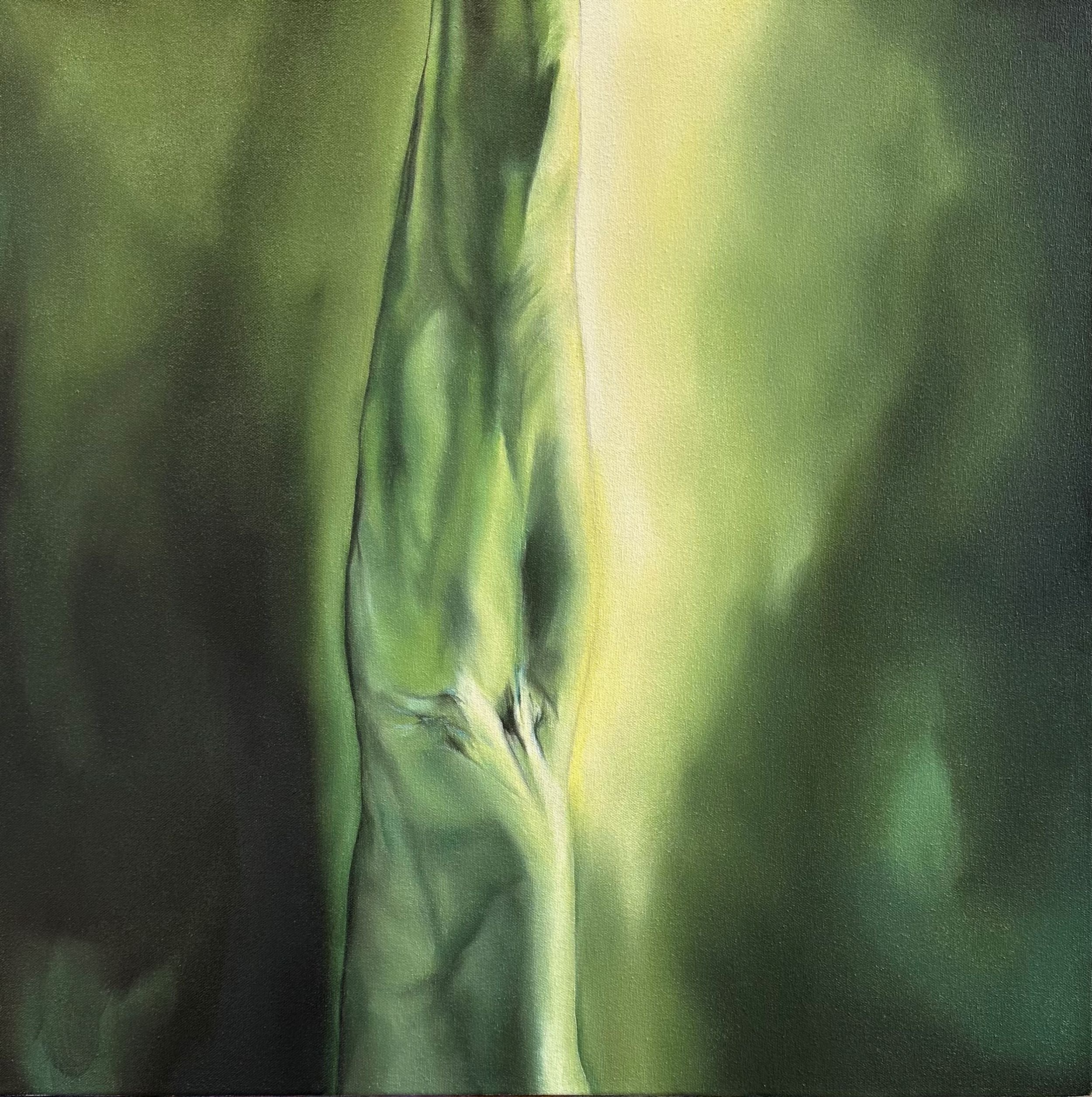 Rooted In A Wordless Forest 8.jpg