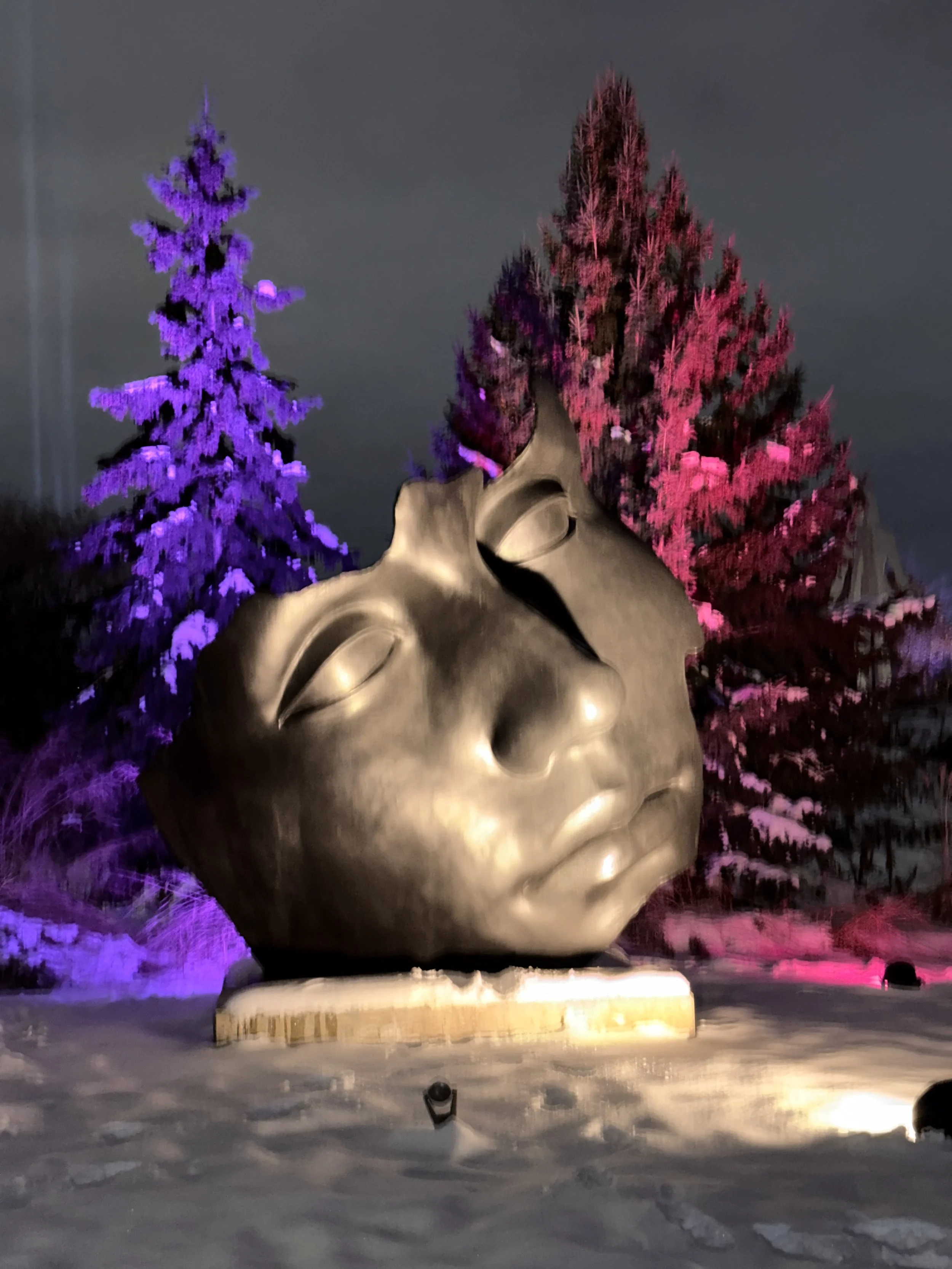 Enlighten at Meijer Gardens