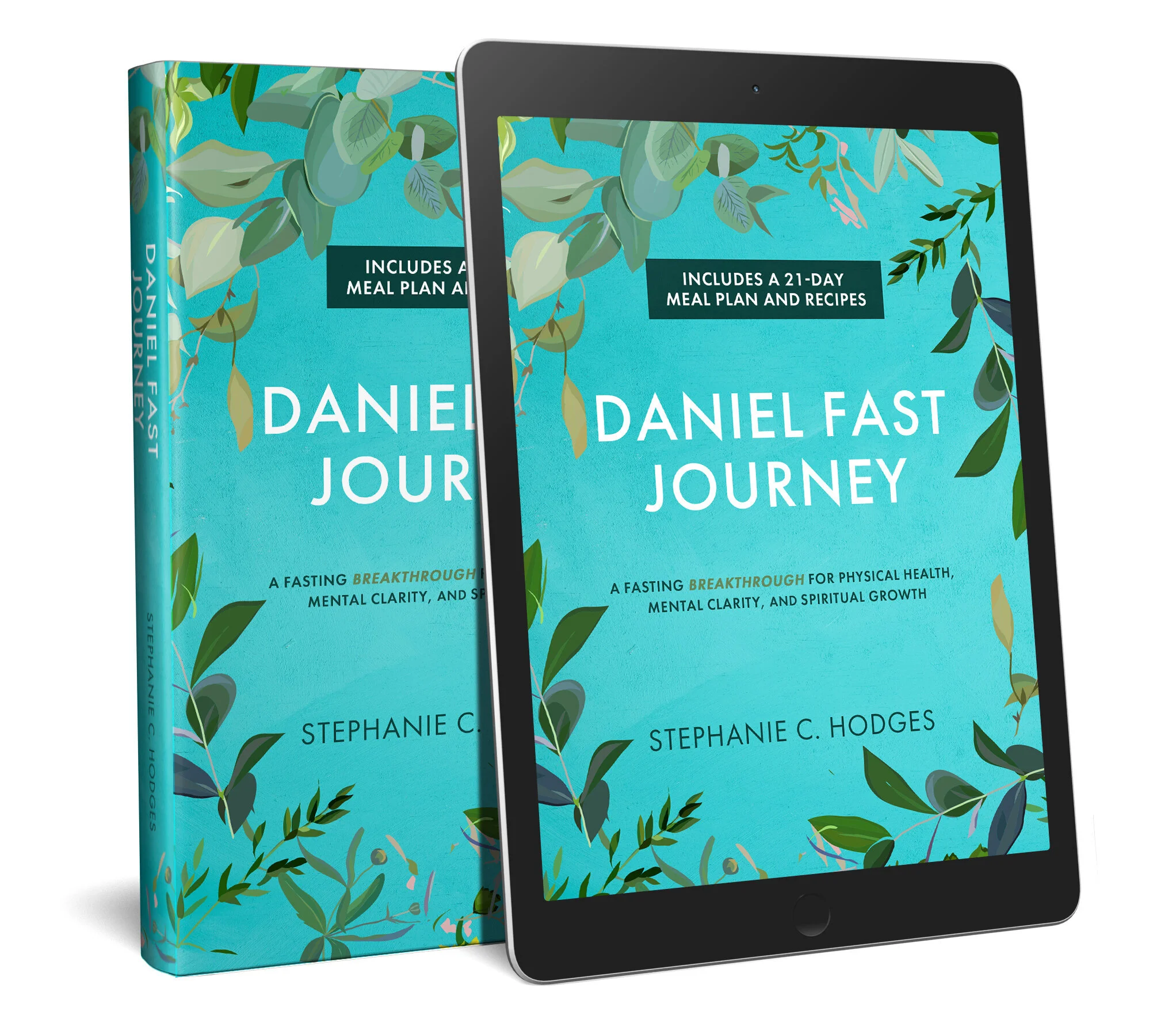 Daniel Fast Journey book