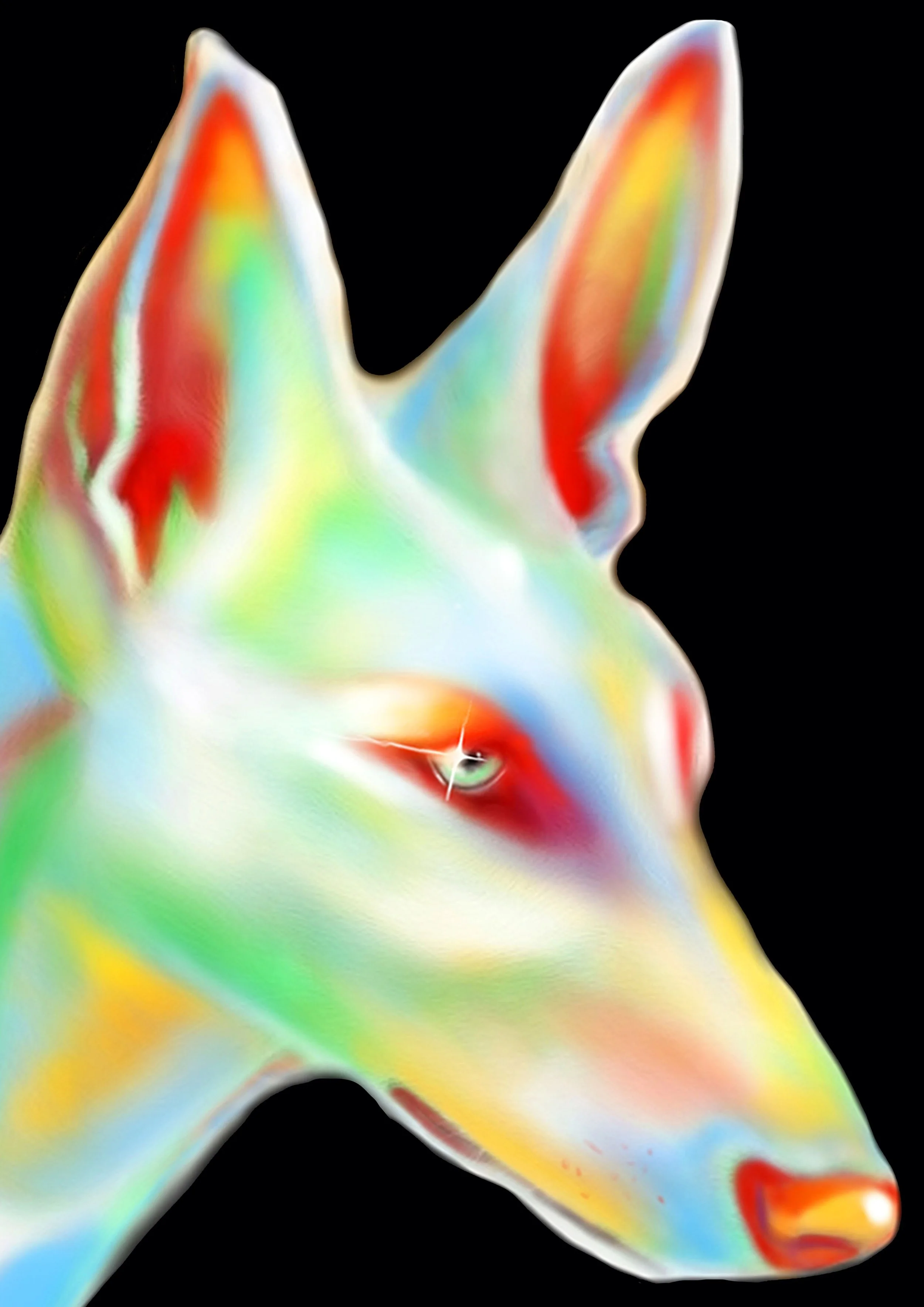 DOG A3.jpg