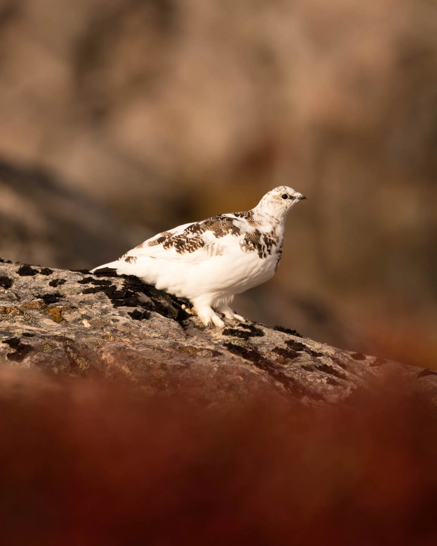 Greenland Expedition-1-1-7.jpg