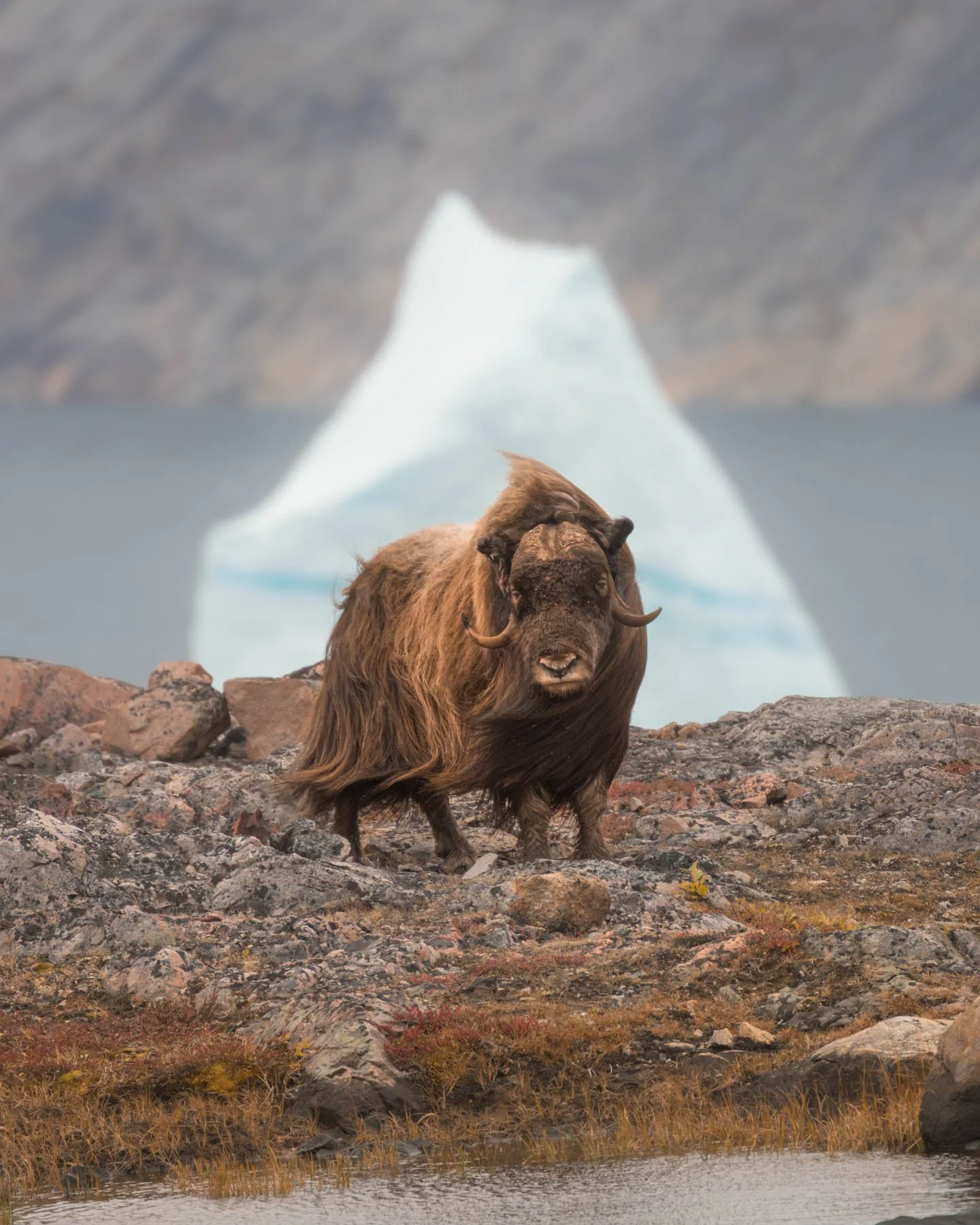 Greenland Expedition-1-1-3.jpg
