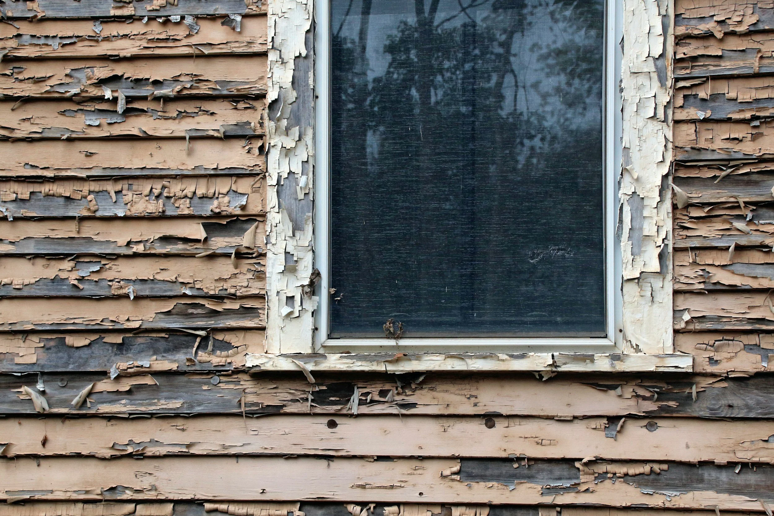 Why Your House is Slowly Rotting (And Why Most Painters Won't Tell You)