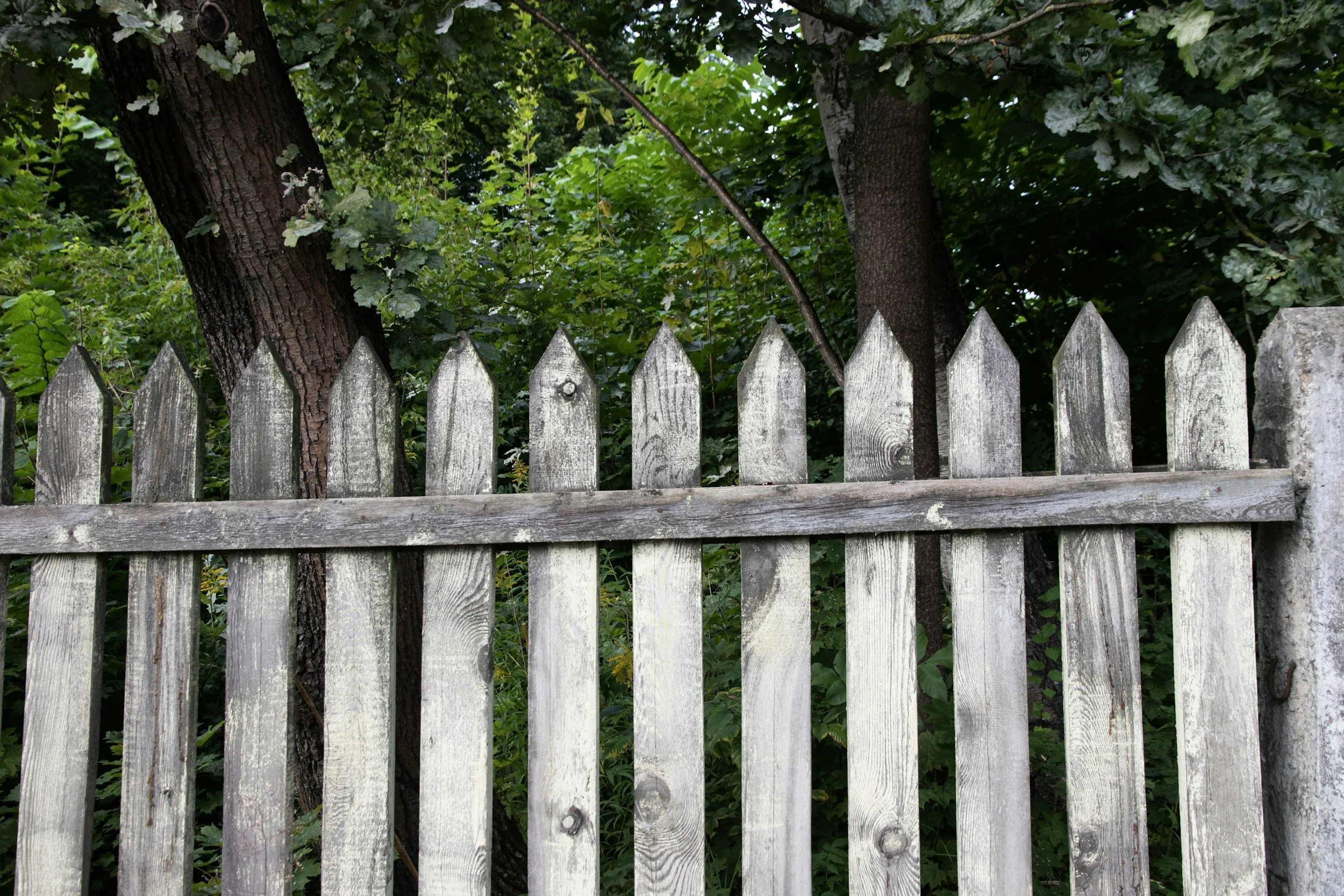 Fence Painting vs. Fence Staining: Which Lasts Longer in Georgia's Climate?