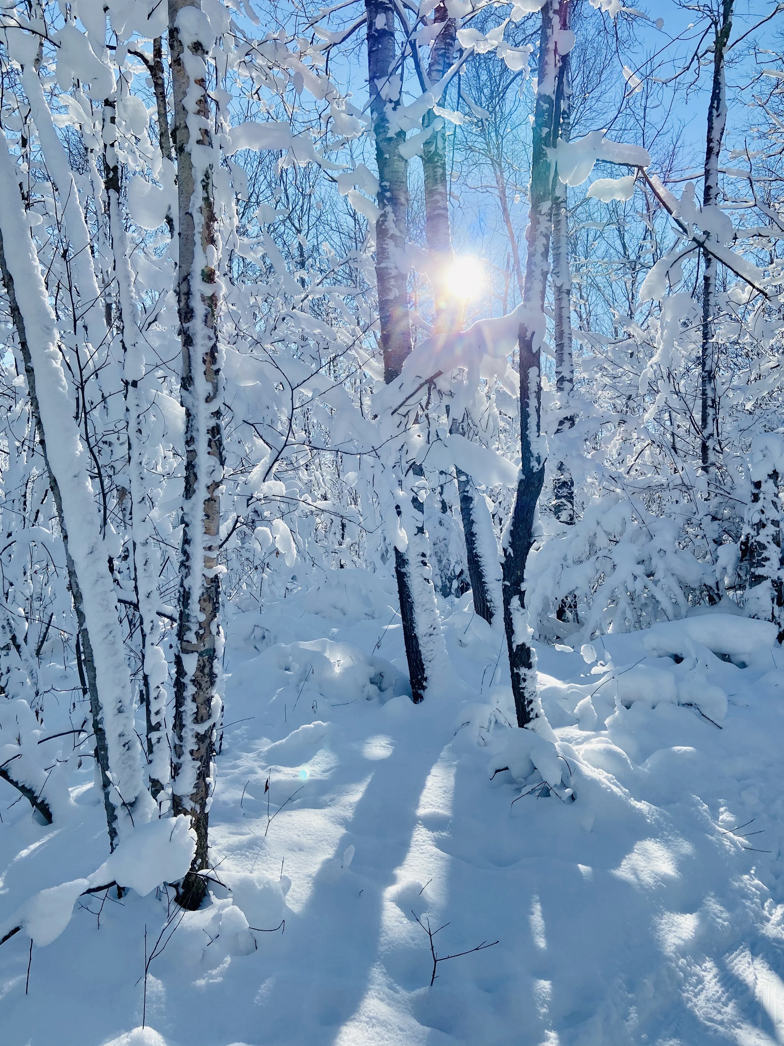 Winter1.jpg