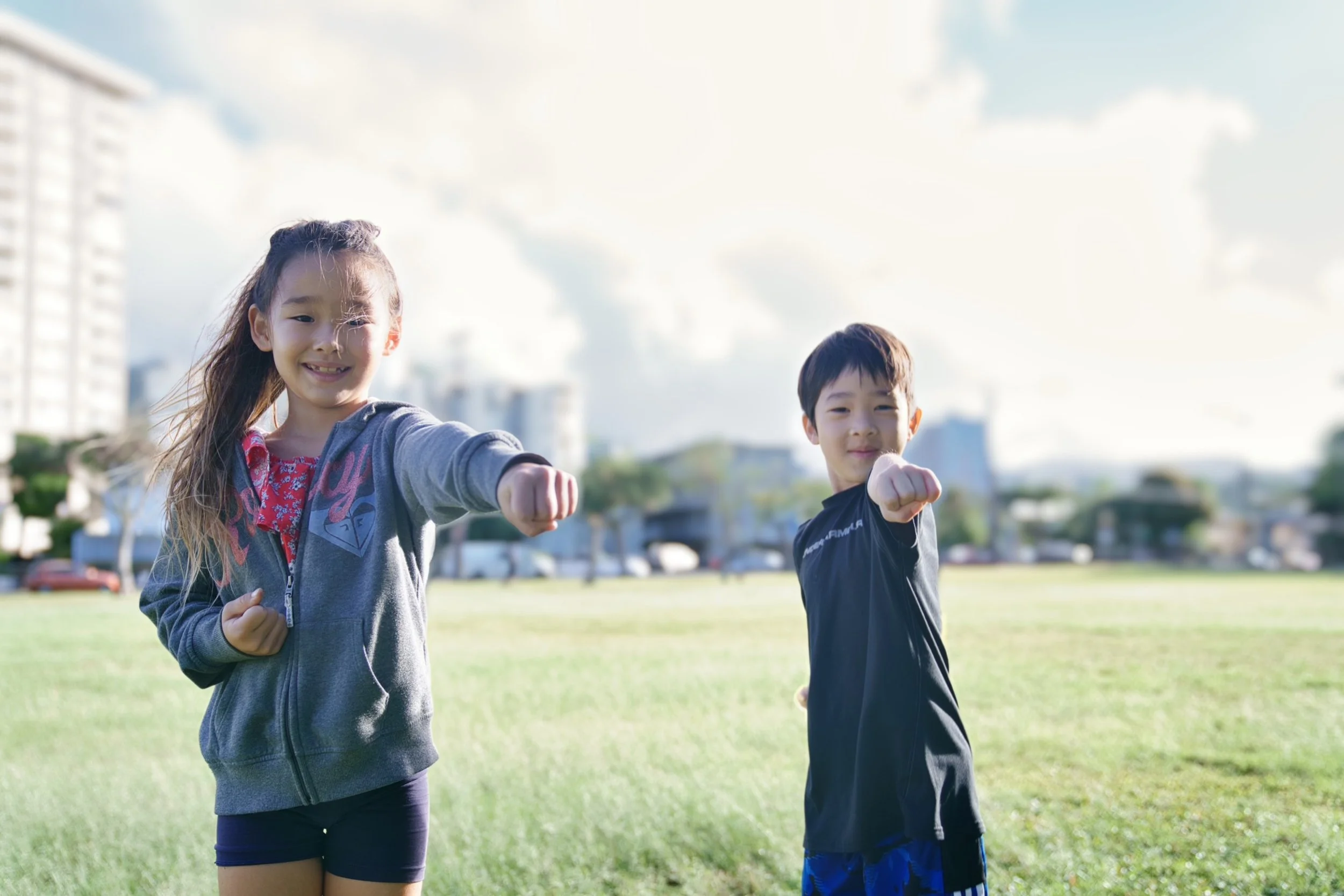 Two children, a girl and a boy, standing on a grassy field outdoors, both with fists extended forward in a playful fighting pose, smiling, with a cityscape and cloudy sky in the background.