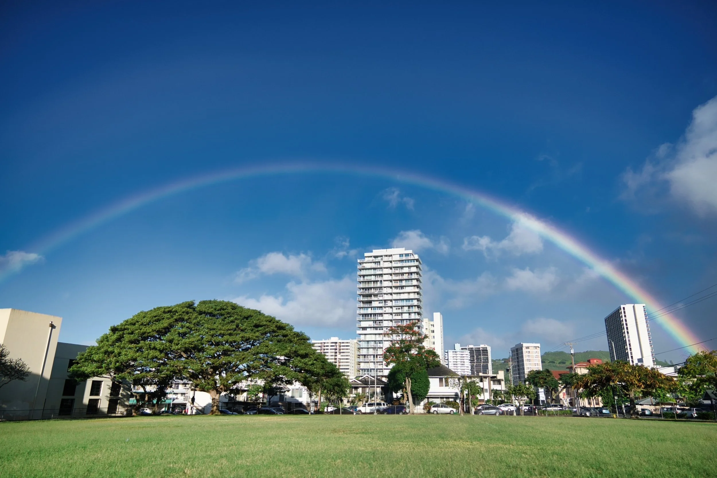 Cityscape with high-rise buildings, trees, a rainbow arcing across a blue sky, and a grassy foreground.