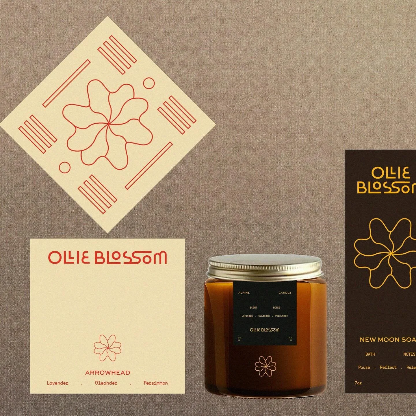 New explorations for @ollieblossomla to celebrate something exciting for the Holidays 💫