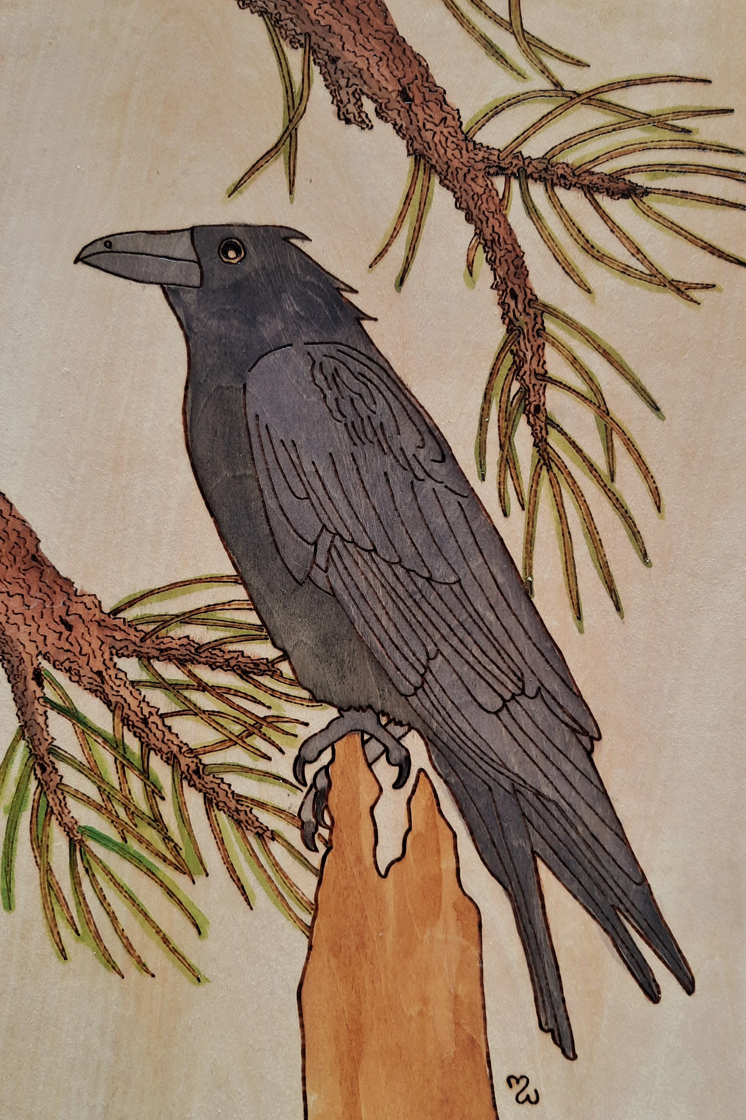 Raven 8"x12" $240